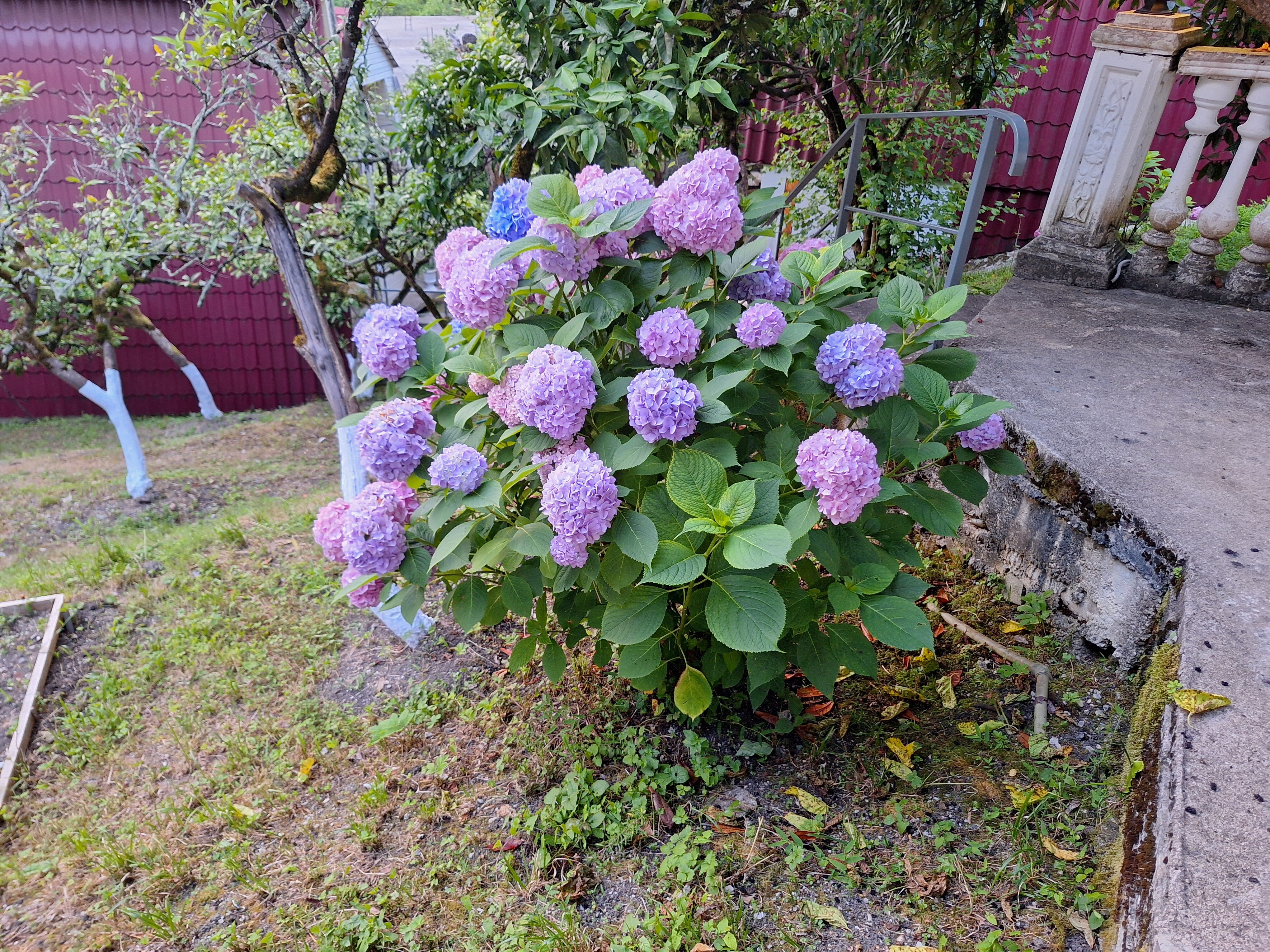 Фото Вилла Орлиное гнездо