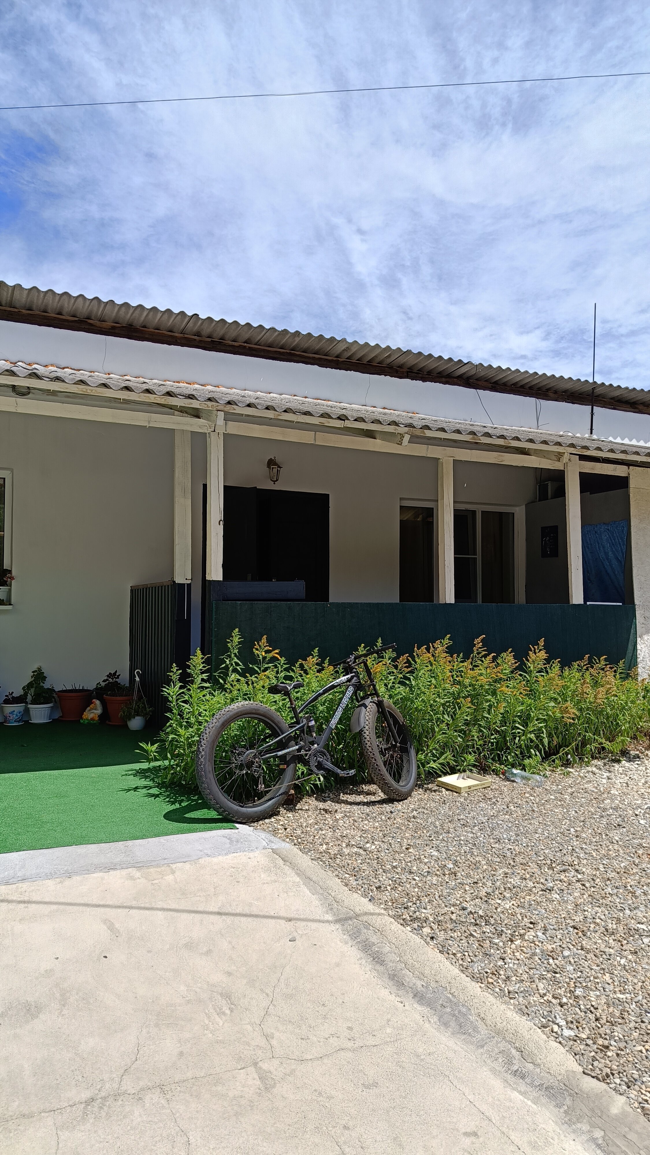 Фото У Василия