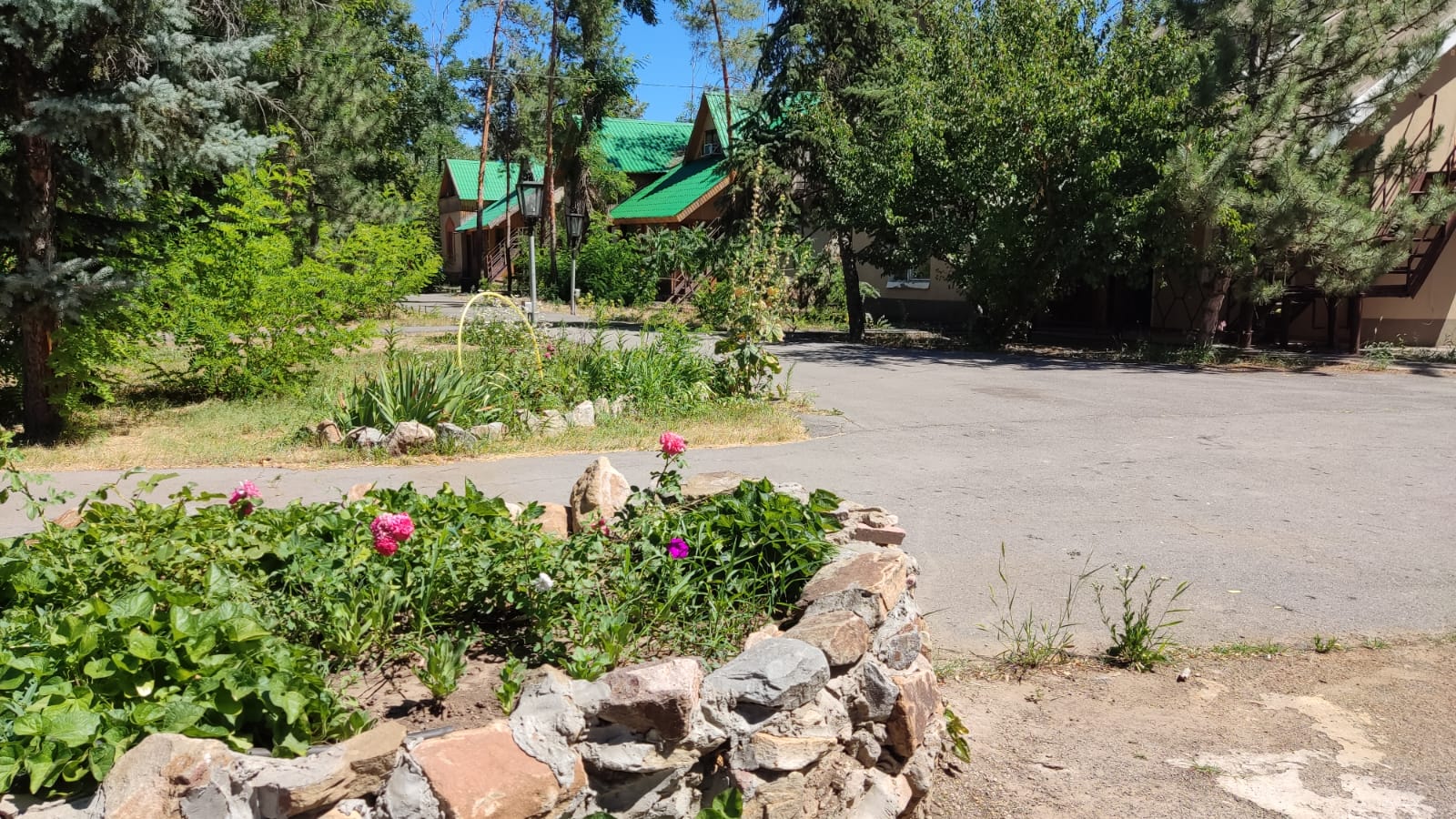 Фото Ветерок