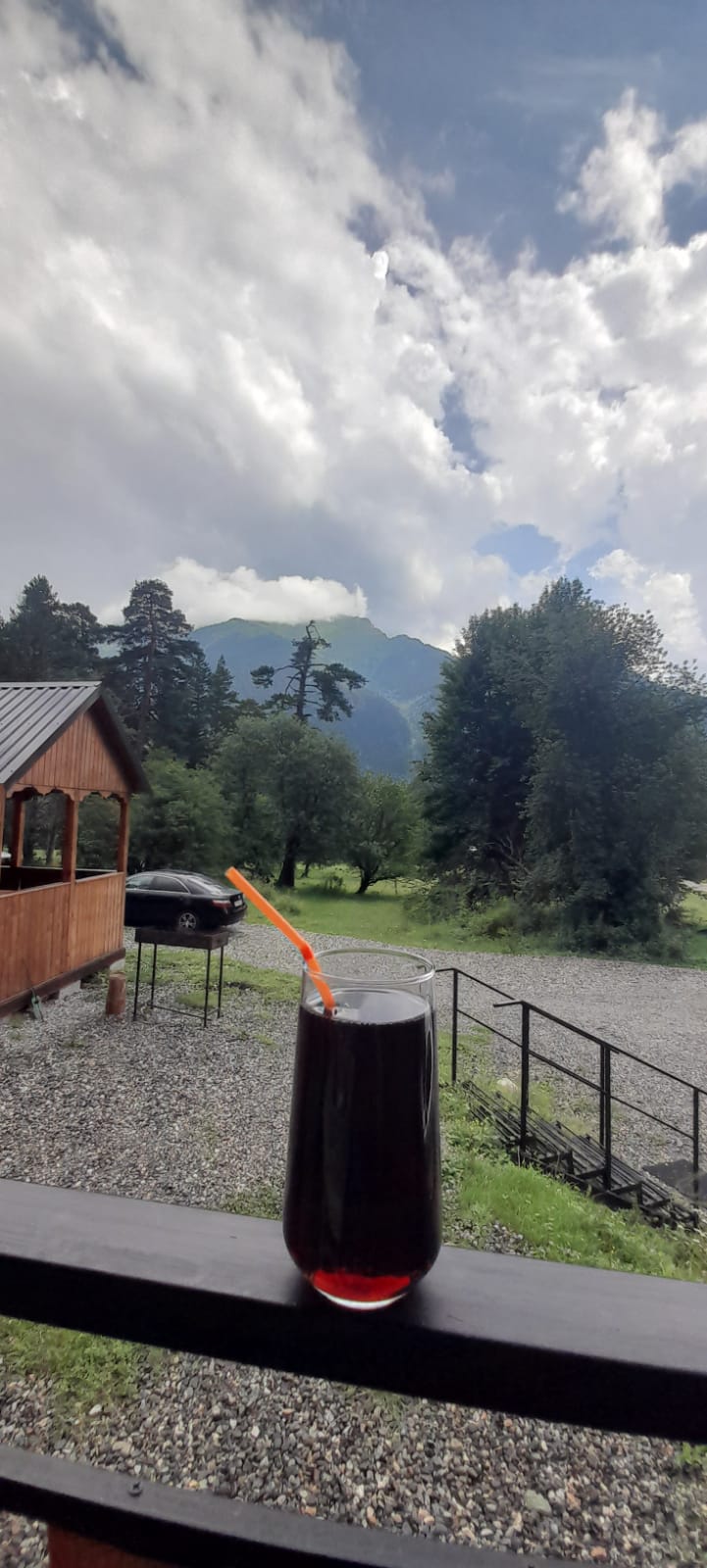 Фото Paradise Forest