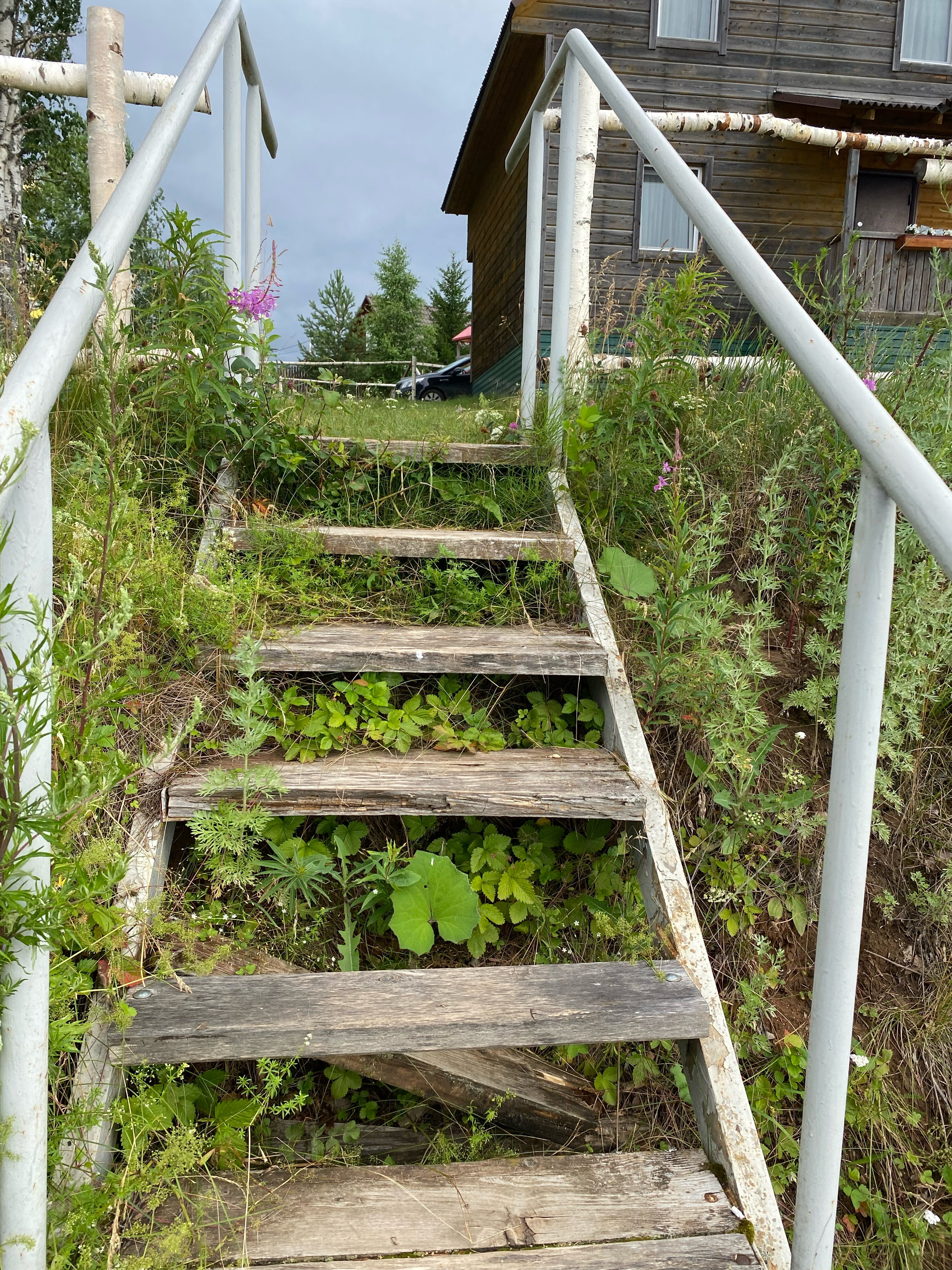 Фото Белый берег