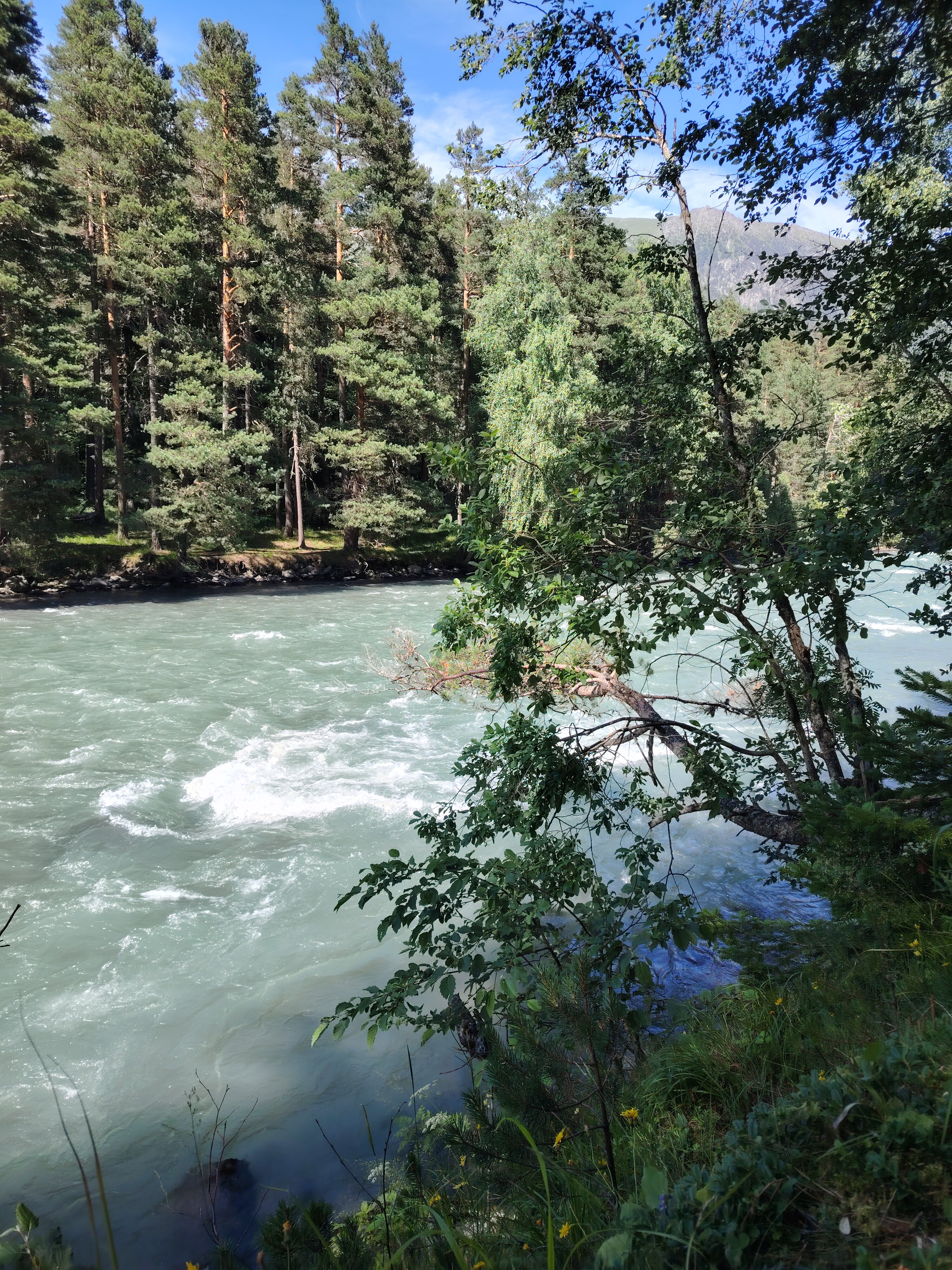 Фото Архыз-Глэмп