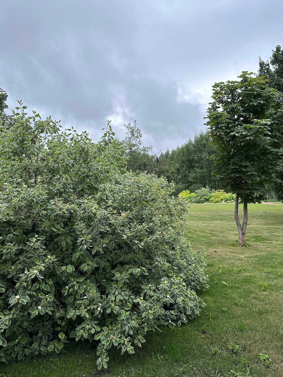 Фото Фроотель