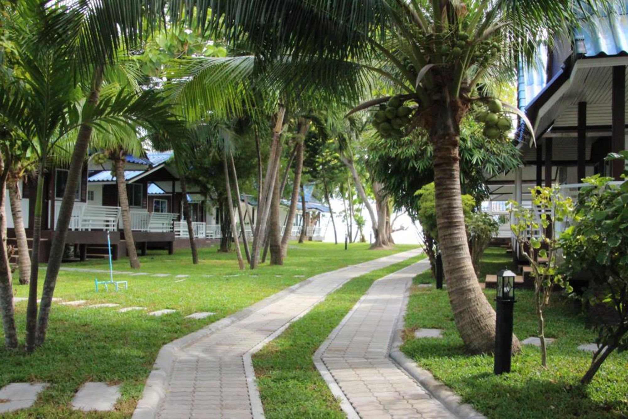 Фото Assava Dive Resort