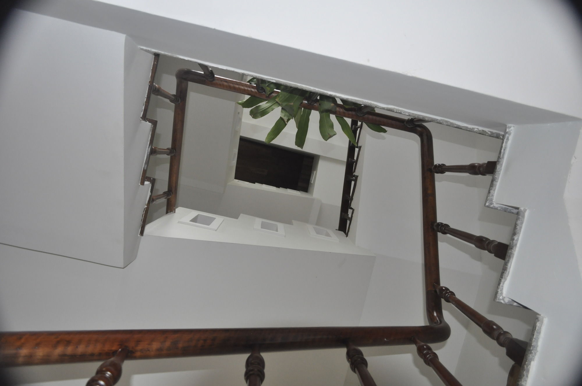 Фото Green Coco Homestay Hoi An