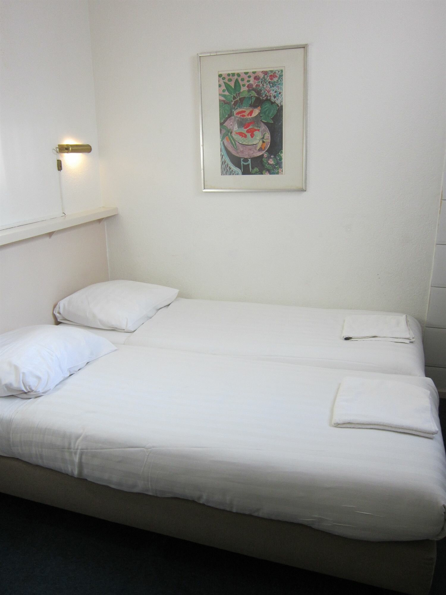 Фото Hotel Titus