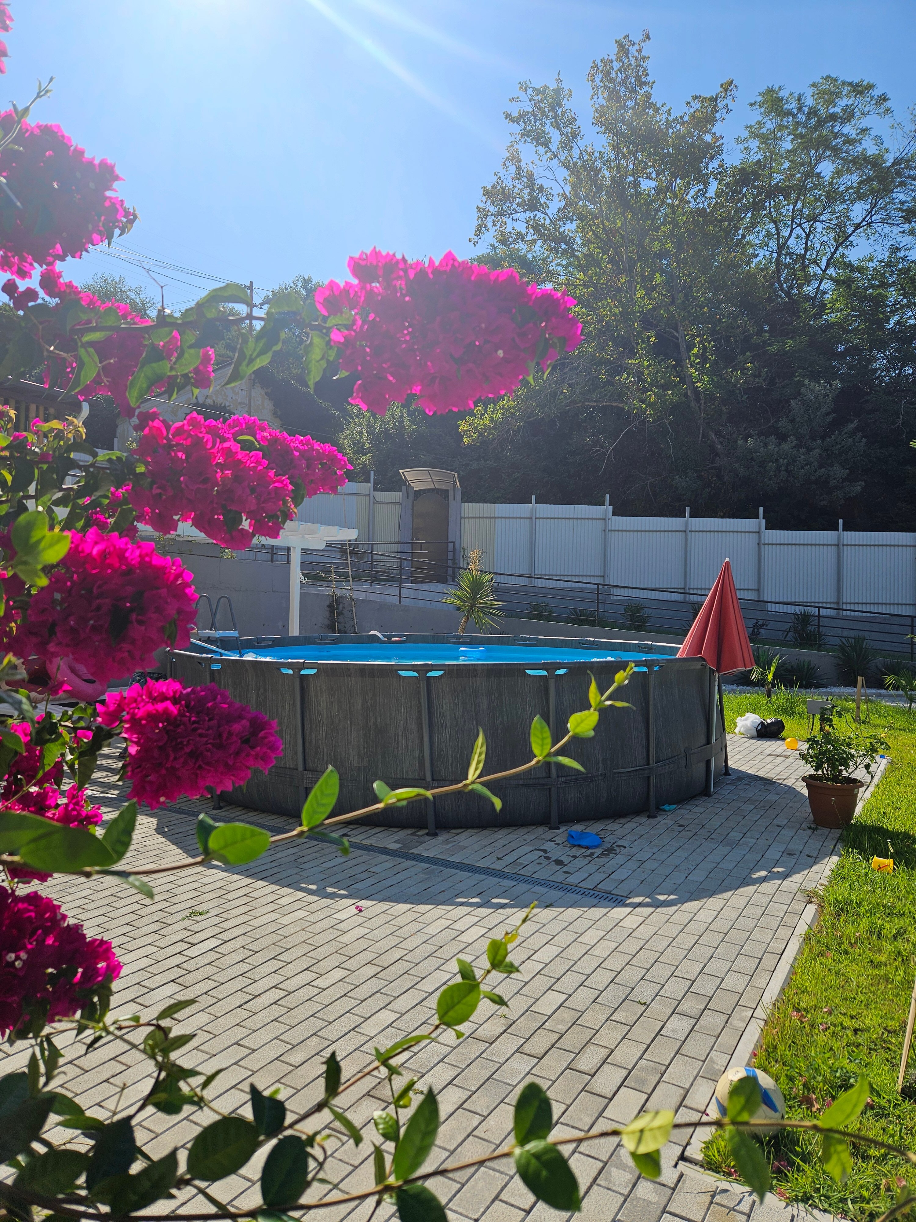 Фото Лимончелло