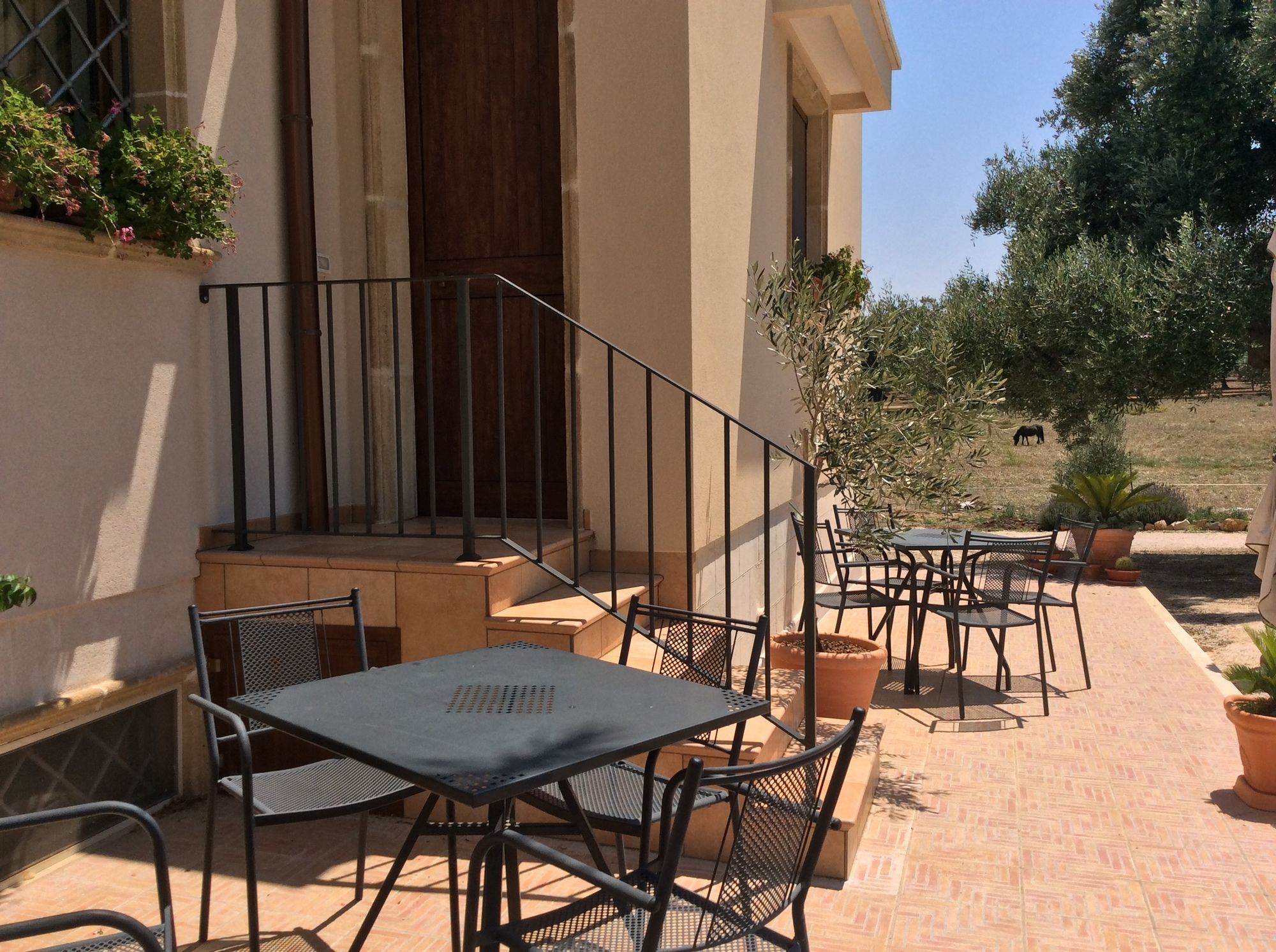 Фото Villa Narducci