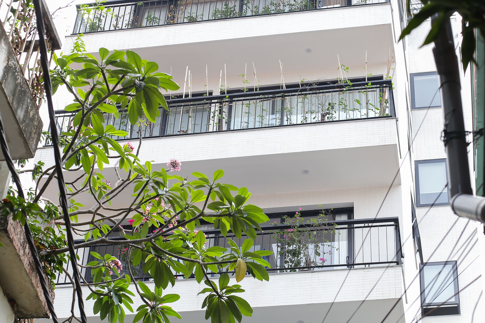 Фото Nyt Home Cau Giay