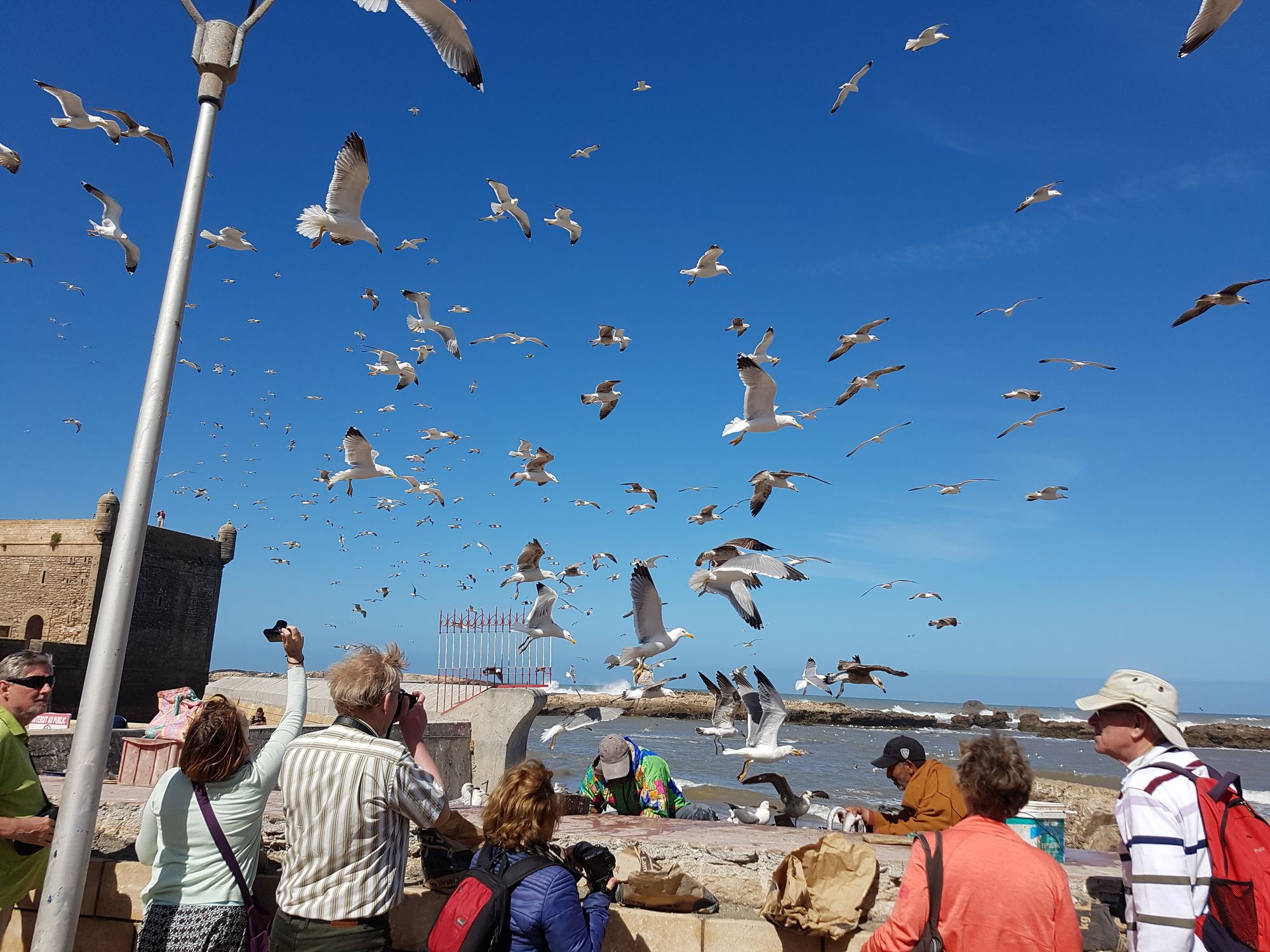 Фото Riad Sidi Magdoul