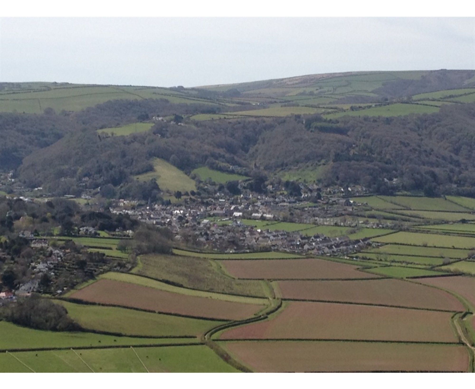 Фото Rose Bank Guest House