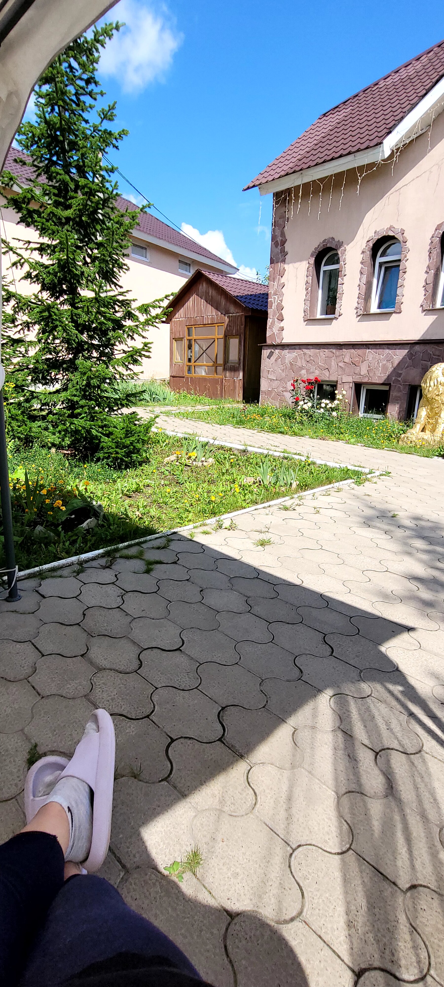 Фото Цветок