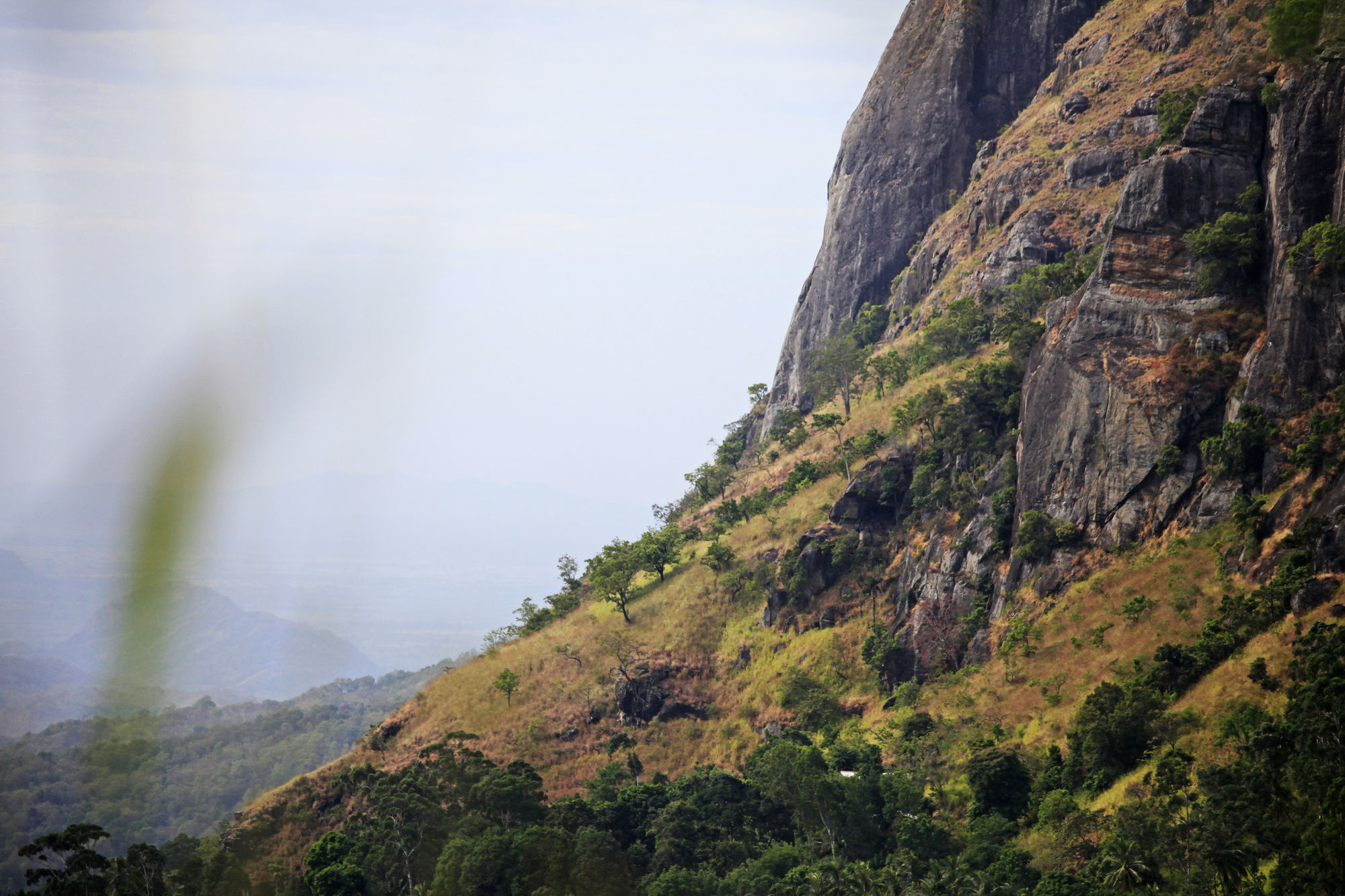 Фото Ella Eco Lodge