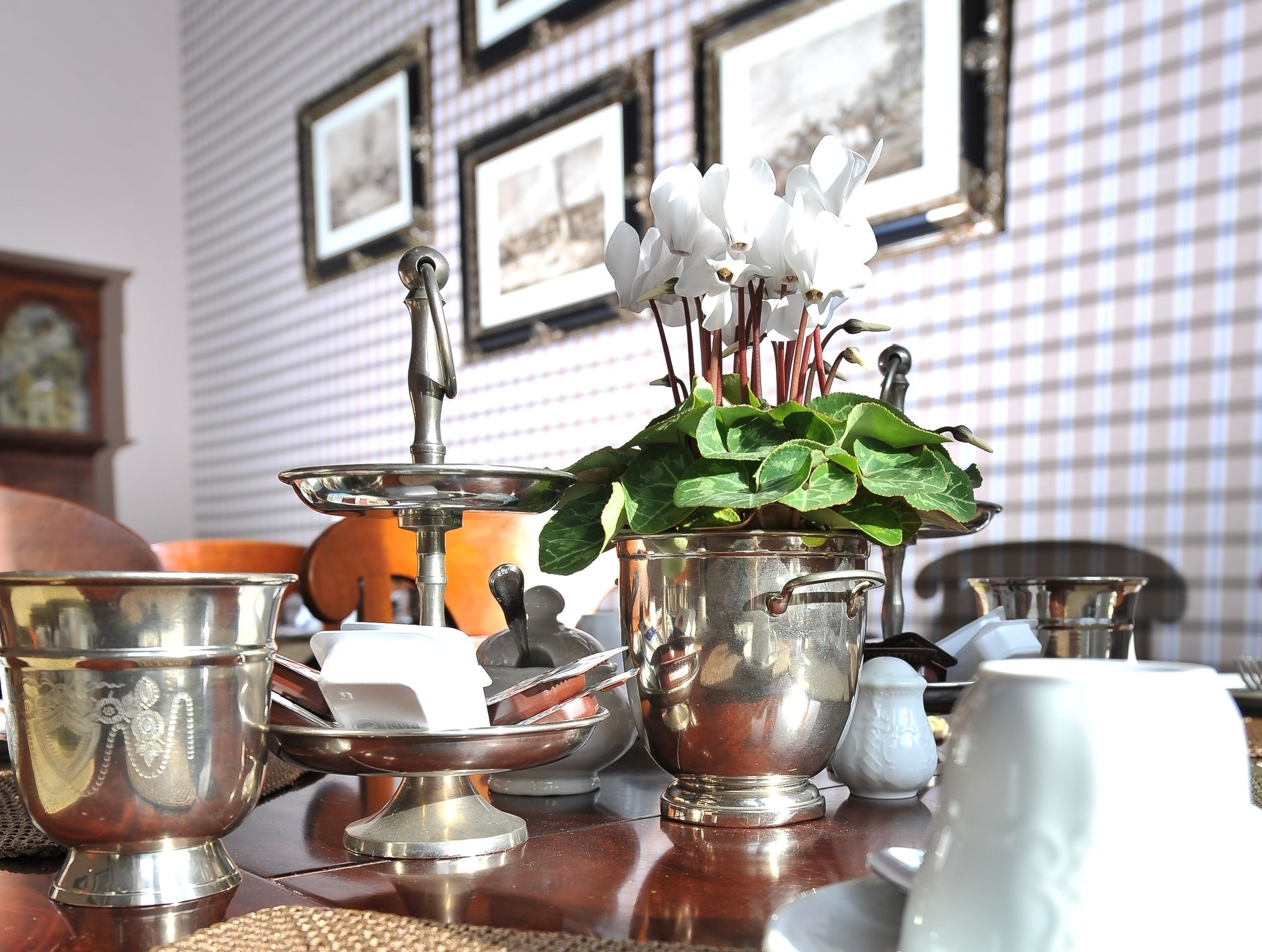 Фото Hotel Windsor