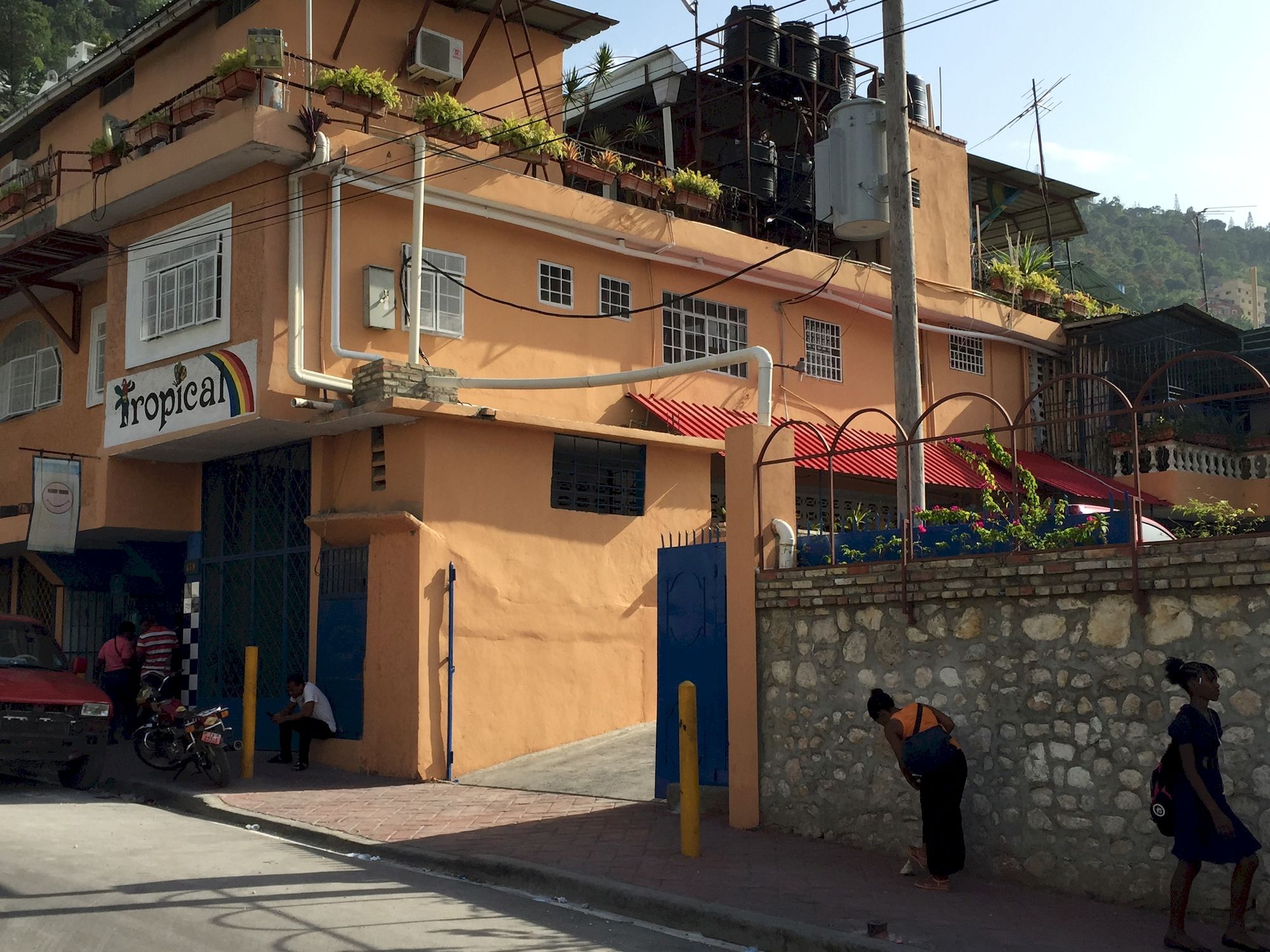 Фото Tropical Bed & Breakfast