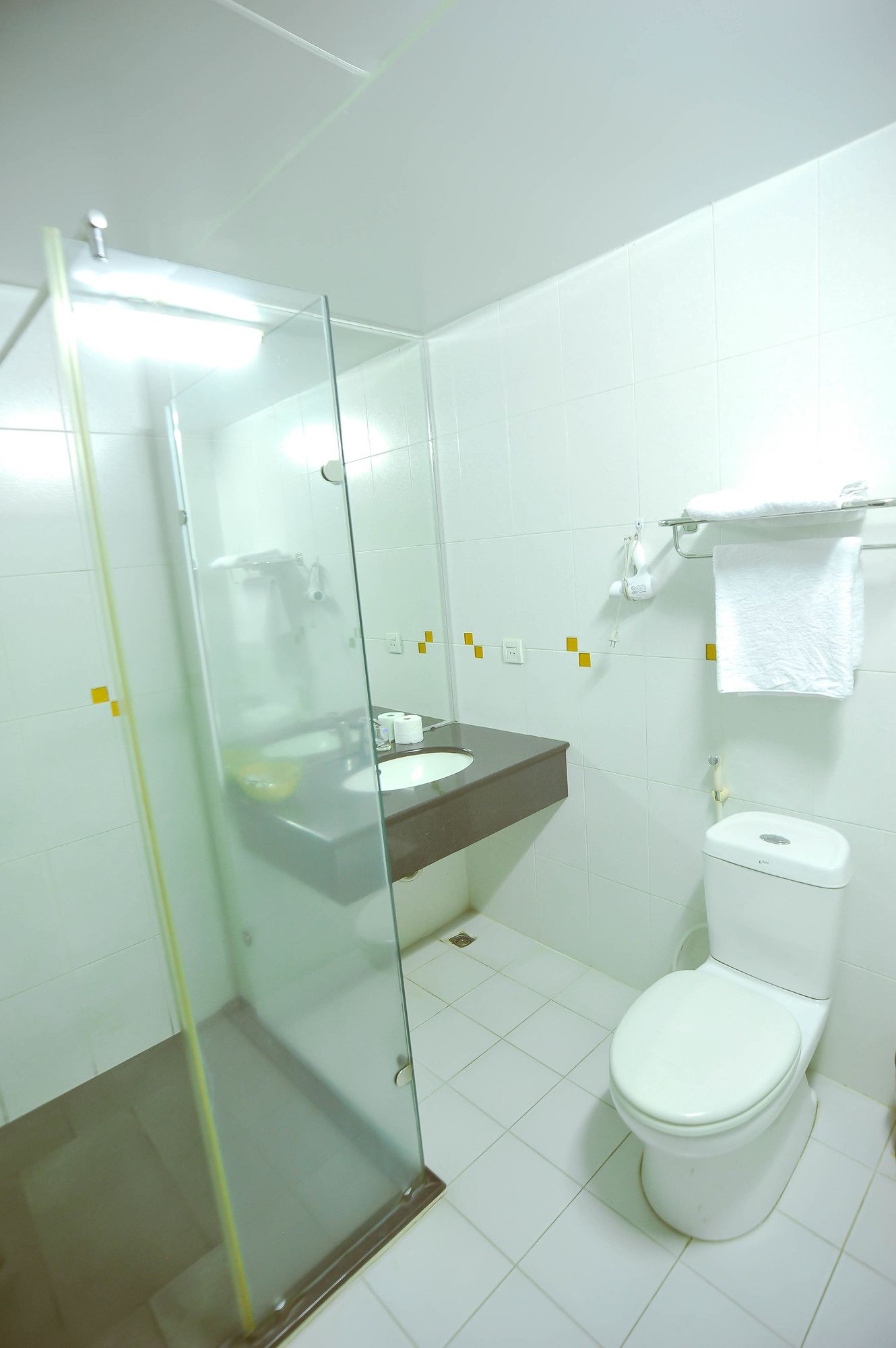 Фото Holiday Hotel