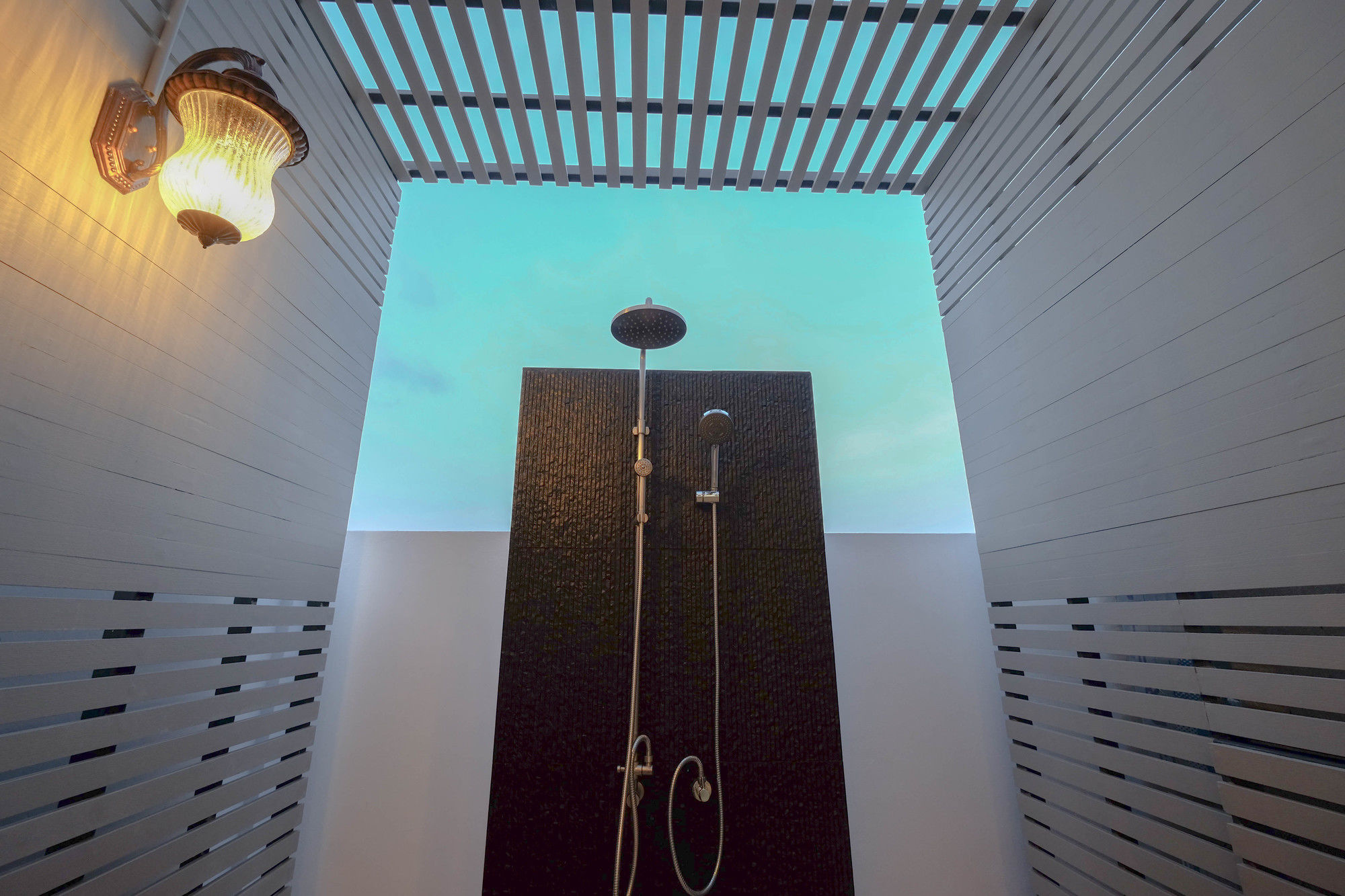 Фото Sea Sand Trees