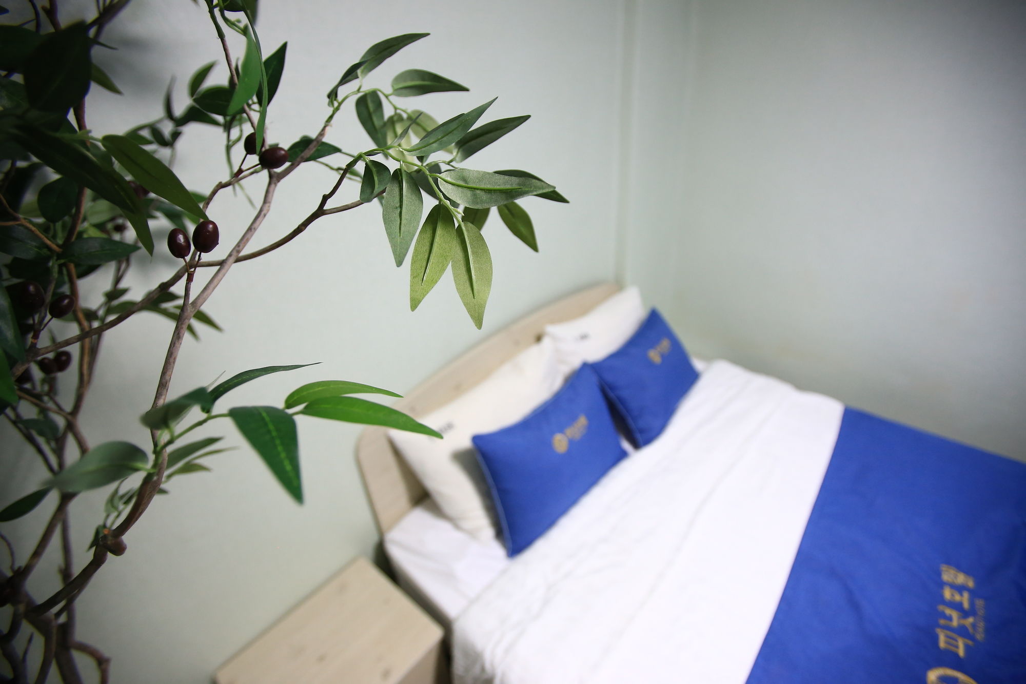 Фото Peanut Hotel