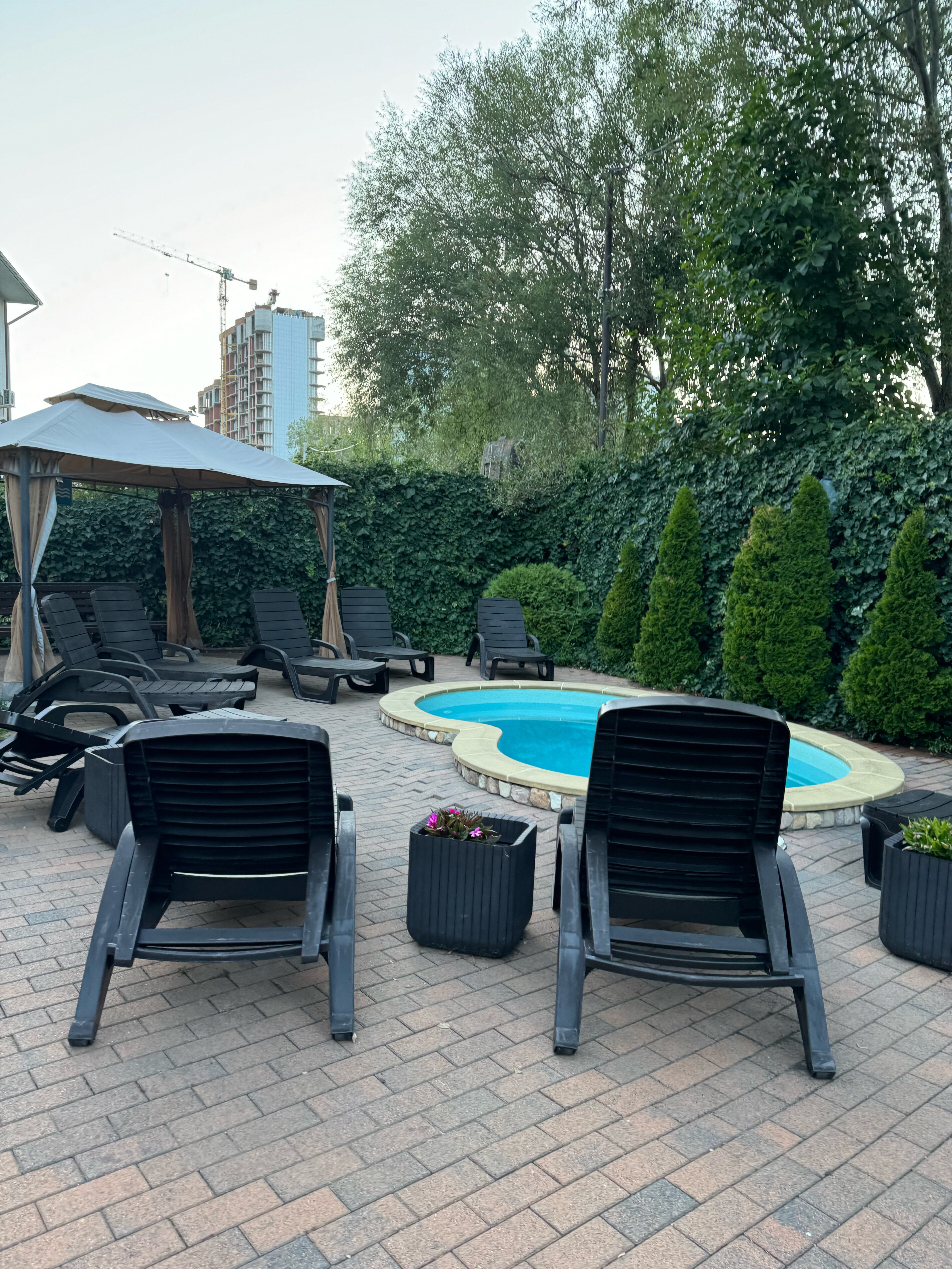 Фото Вероника