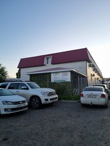 Дубрава