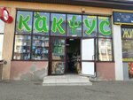 Кактус (Oktyabrskaya Street, 190/1), artículos para el hogar