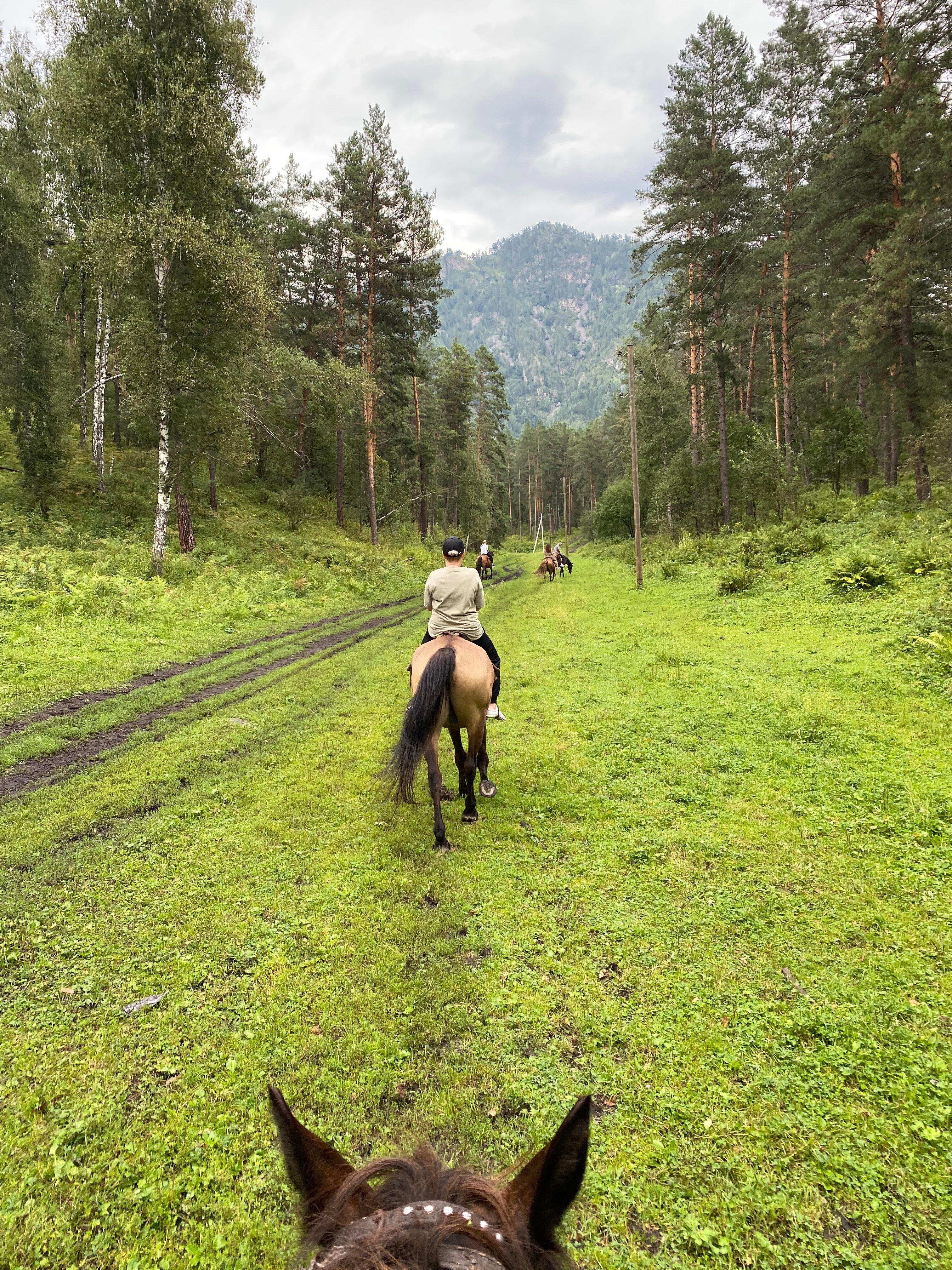 Фото Летний сад