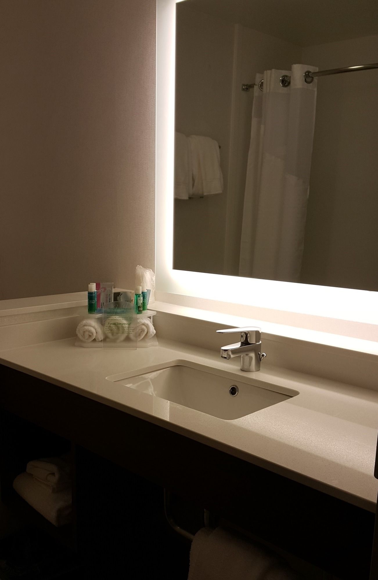 Фото Holiday Inn Express & Suites Toledo West, an Ihg Hotel