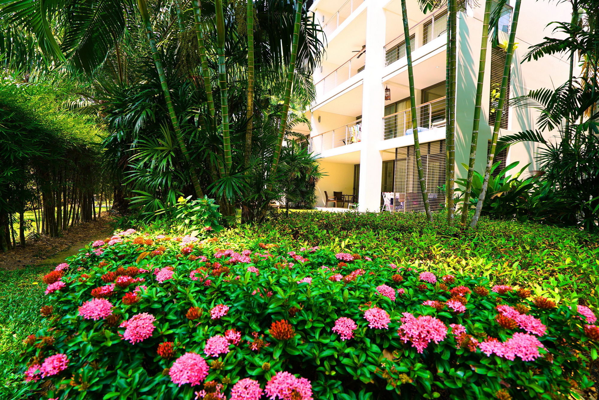 Фото Casuarina Shores Apart Hotel