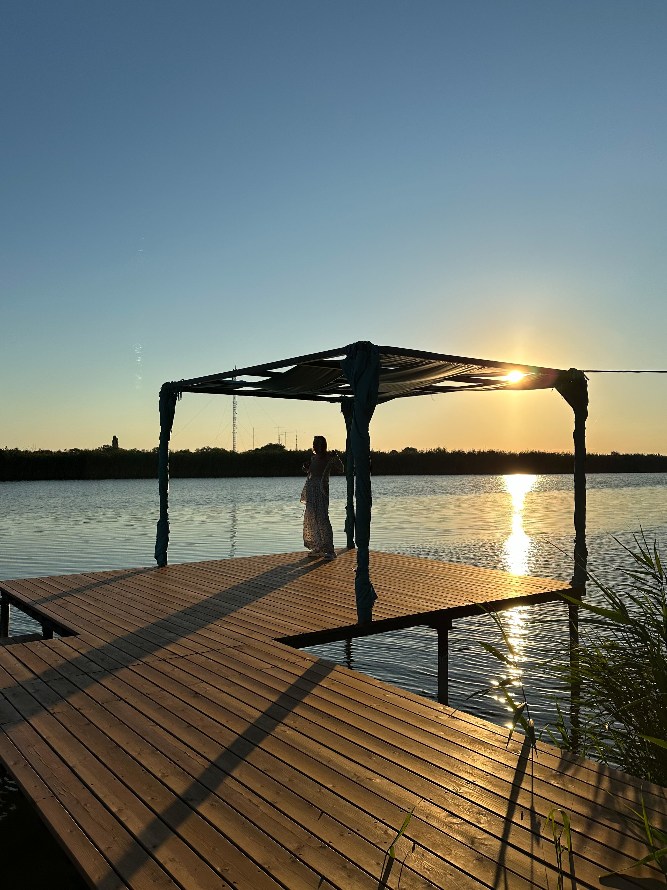 Фото Elephant Homd