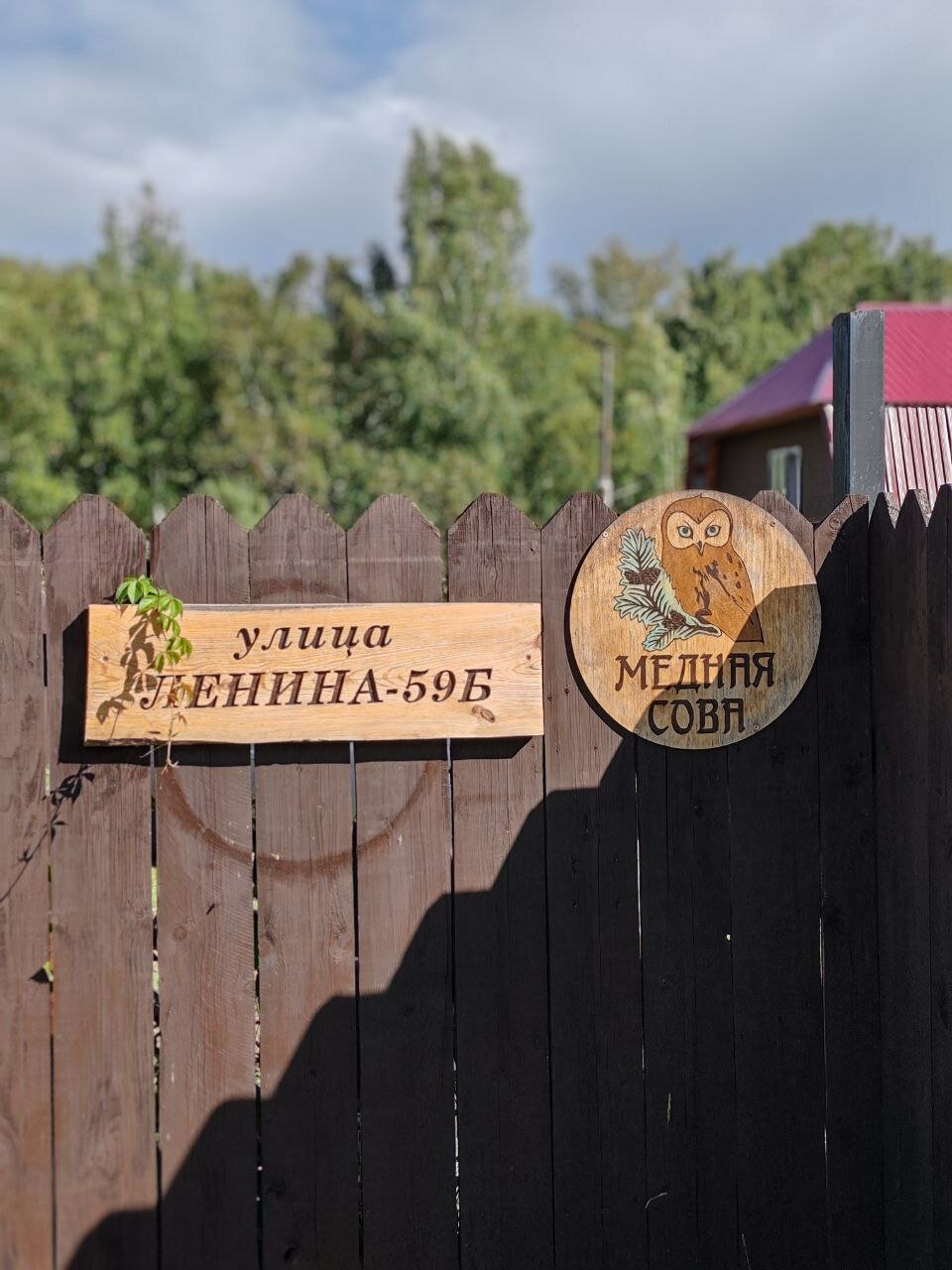 Фото Медная Сова