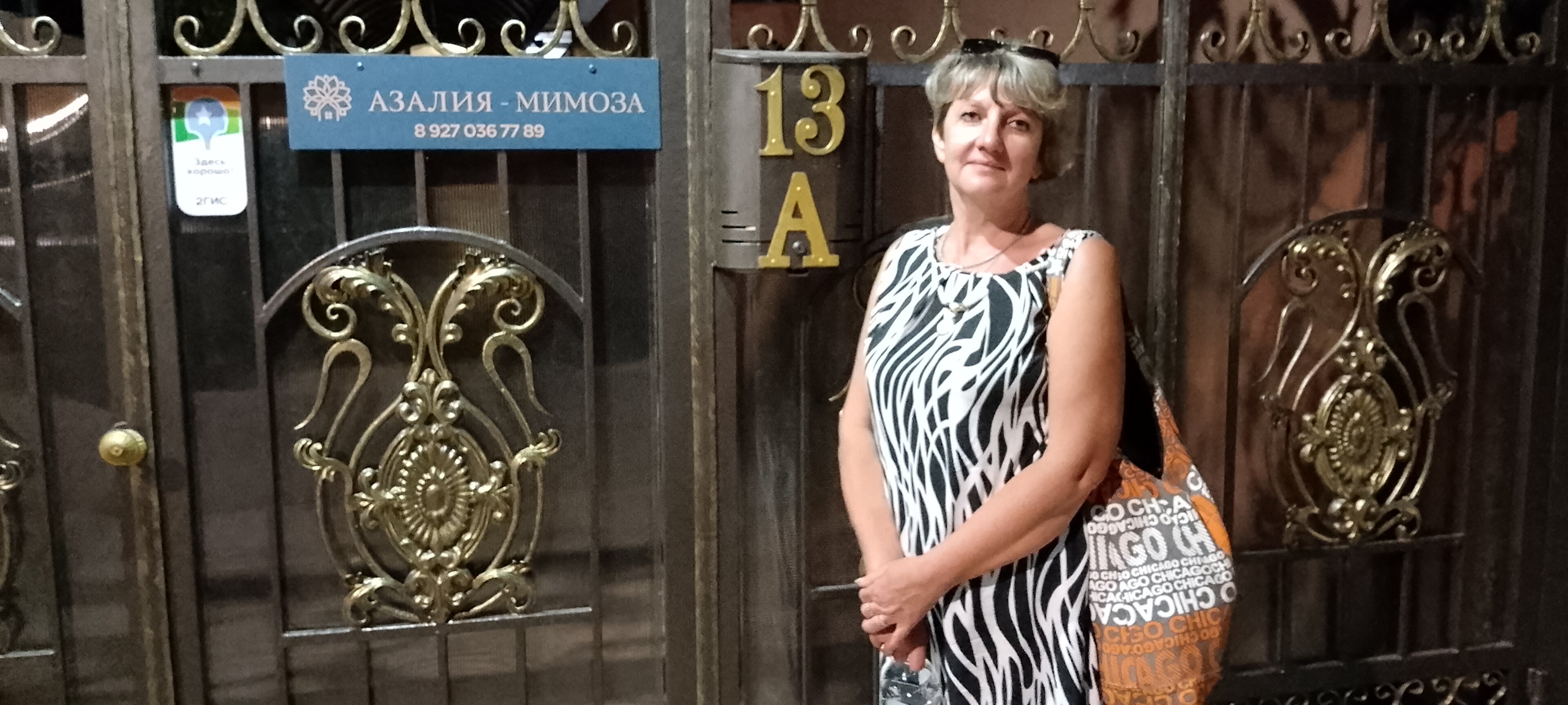 Фото Азалия Мимоза