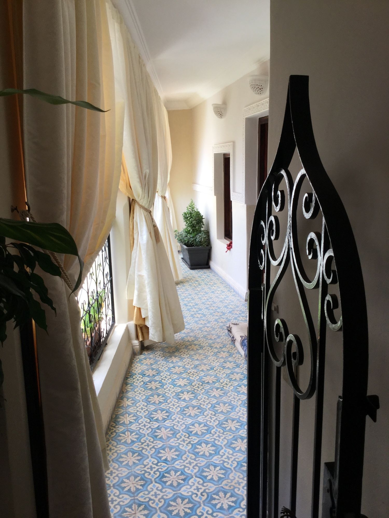 Фото Abélia Riad