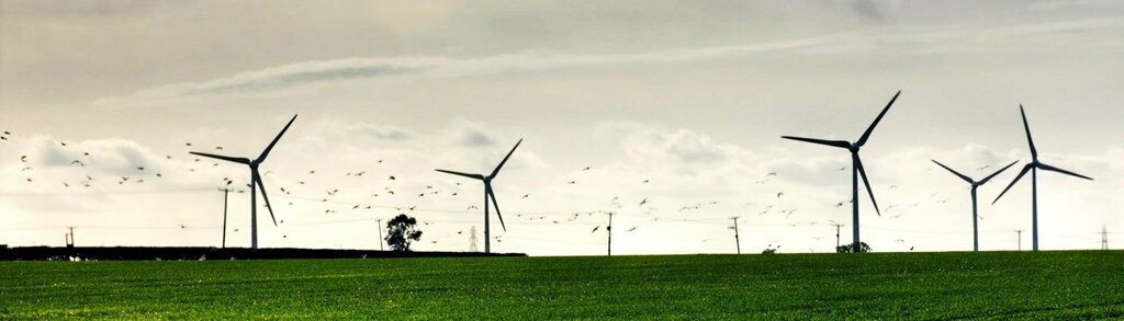 Natural resource extraction Active Earth Sciences, Izmir, photo