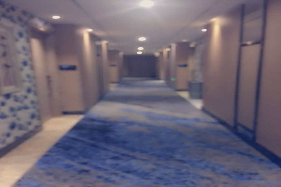 Фото Hangzhou Jinchen Yuqi Hotel