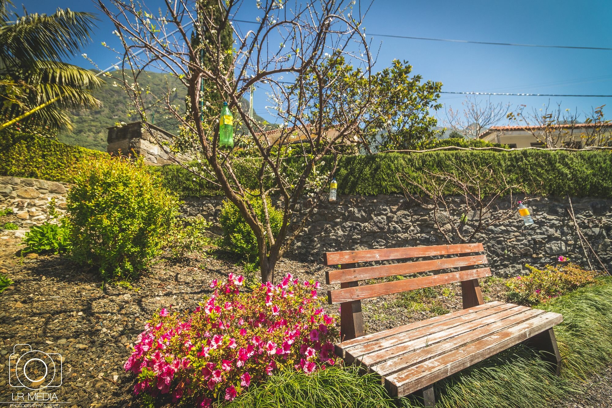 Фото Solar da Bica