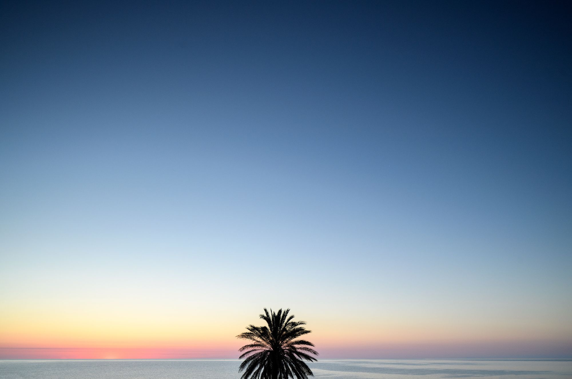 Фото Ammos Hotel