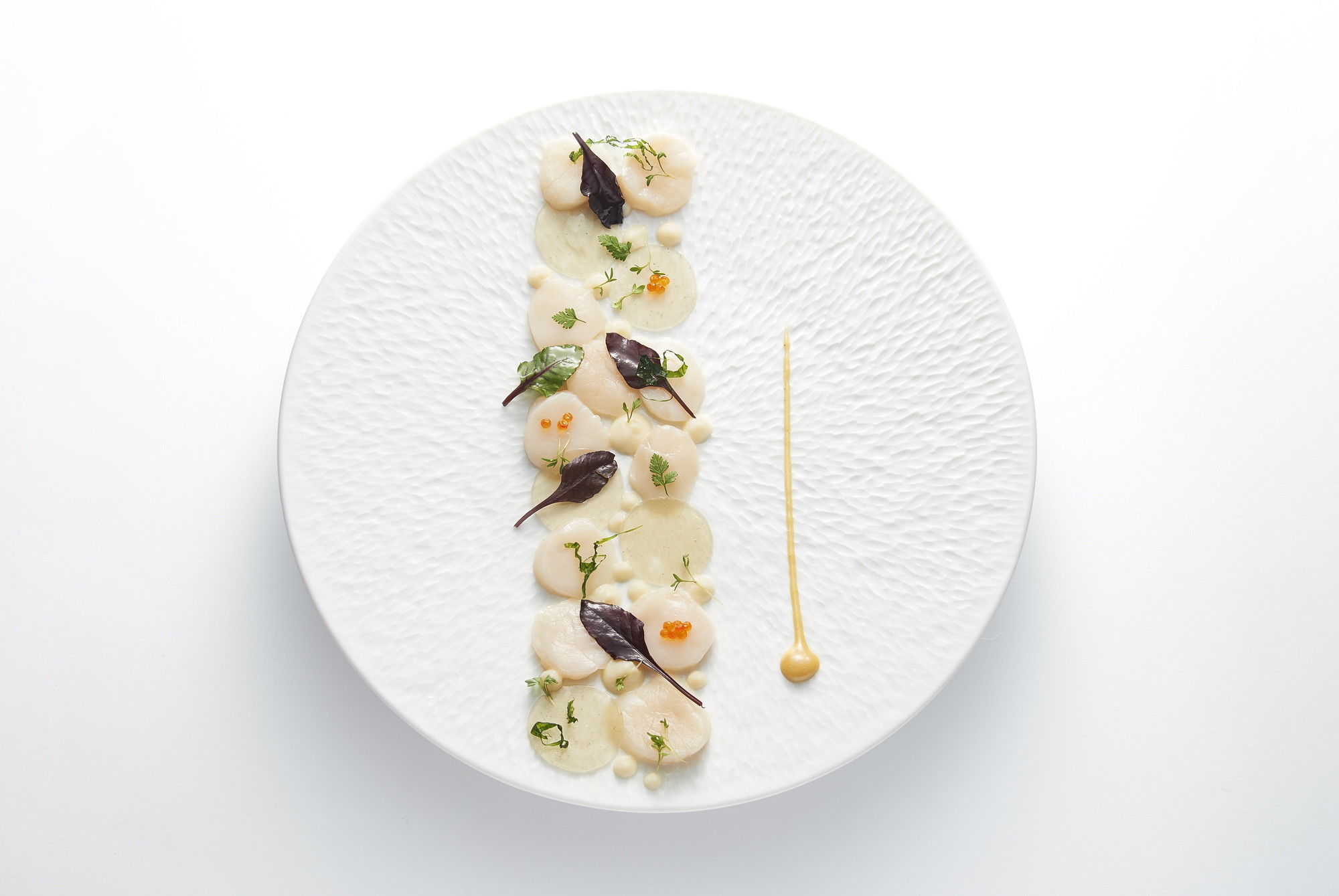 Фото Castel Marie Louise