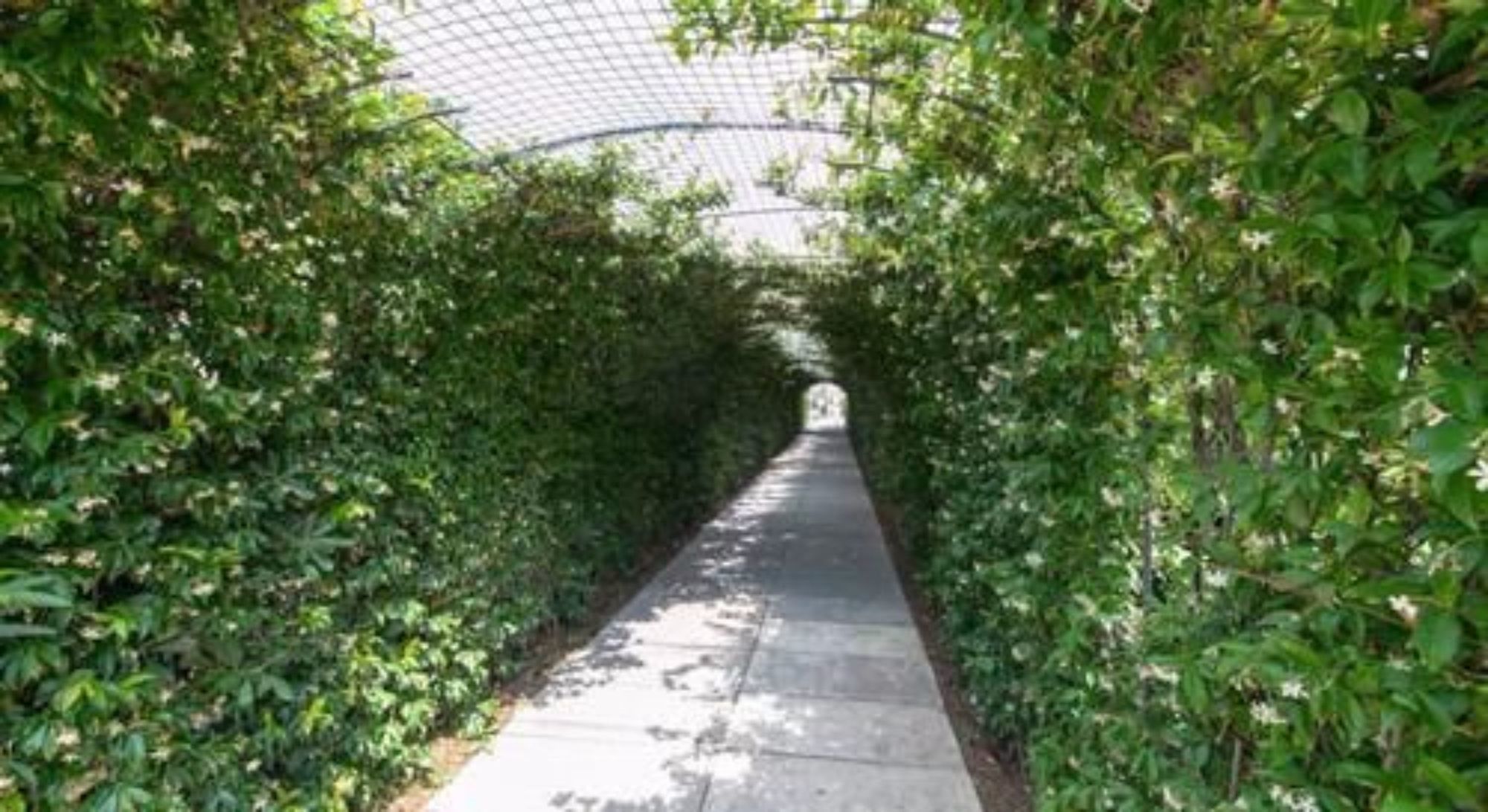 Фото Grand Hotel da Vinci