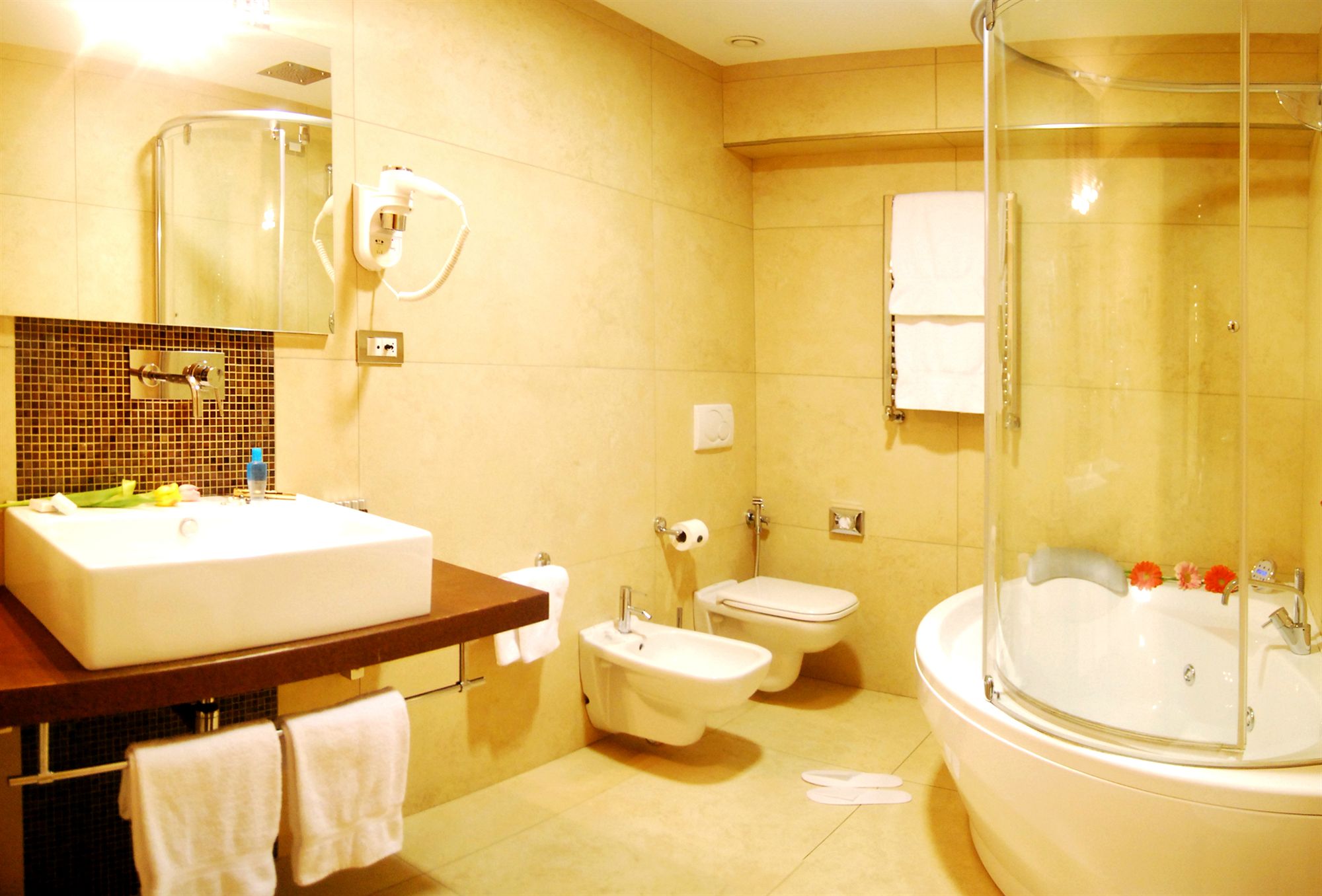 Фото Hotel Royal Caserta