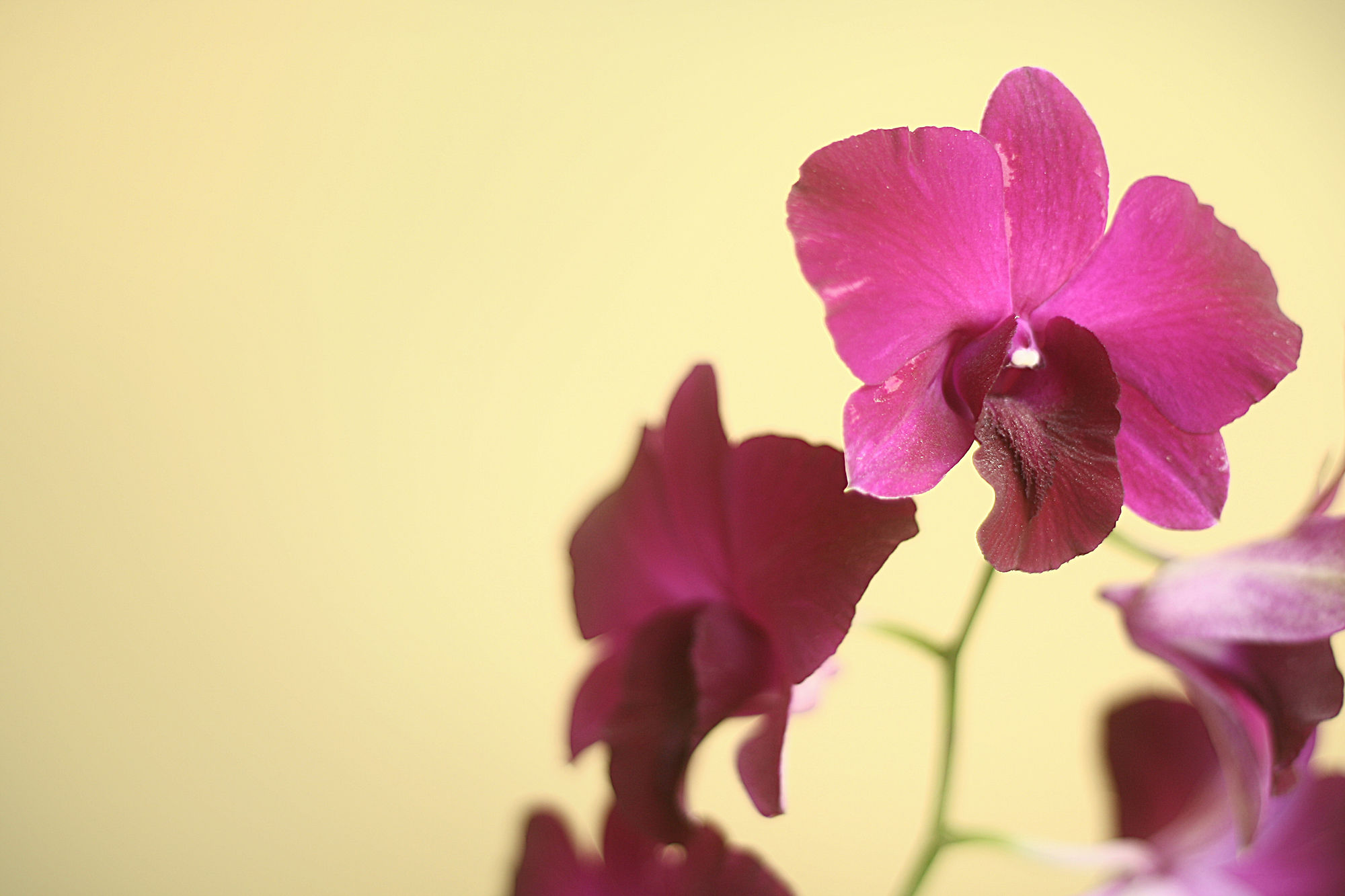 Фото Lee Boutique Hotel Tagaytay