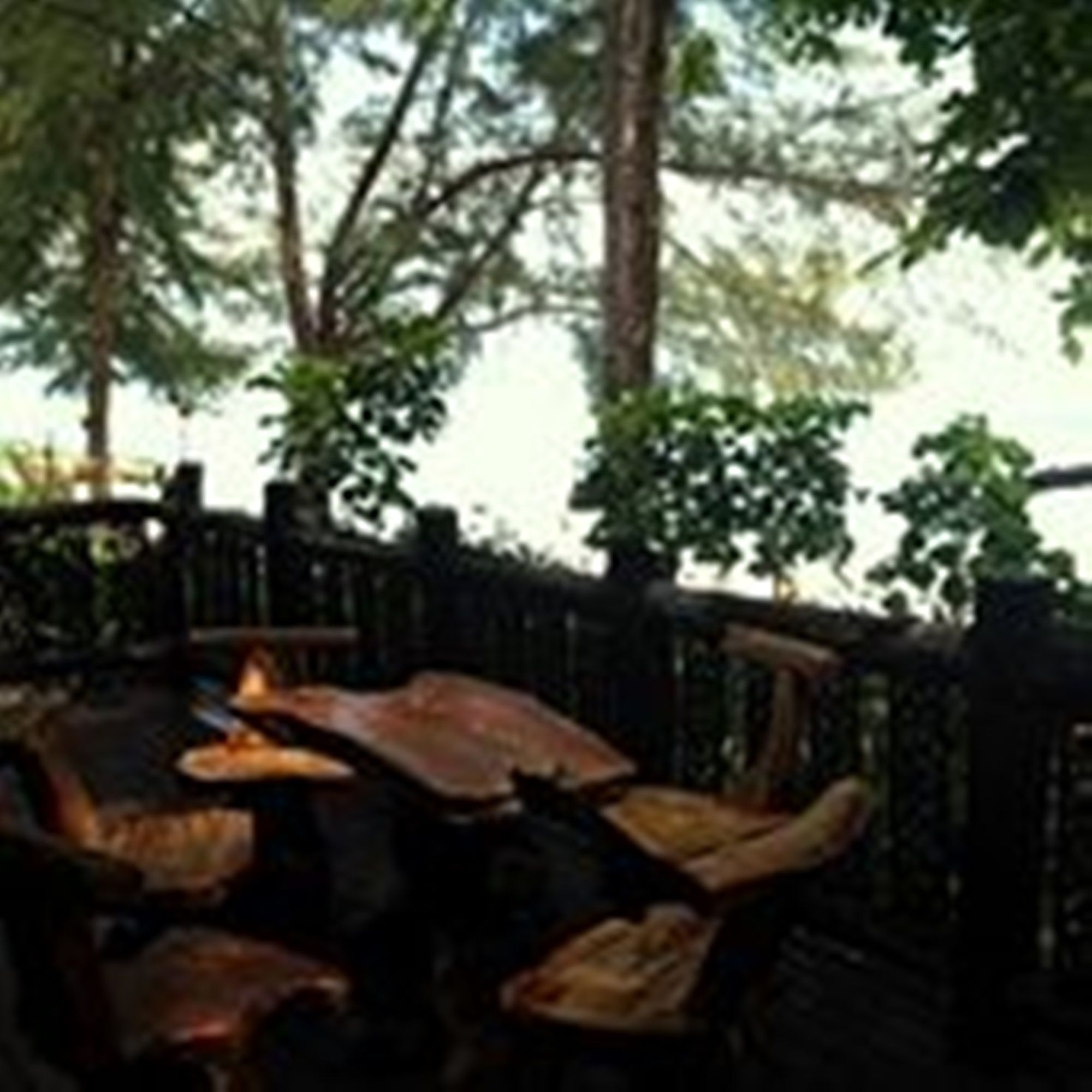 Фото Paradise Pearl Bungalow