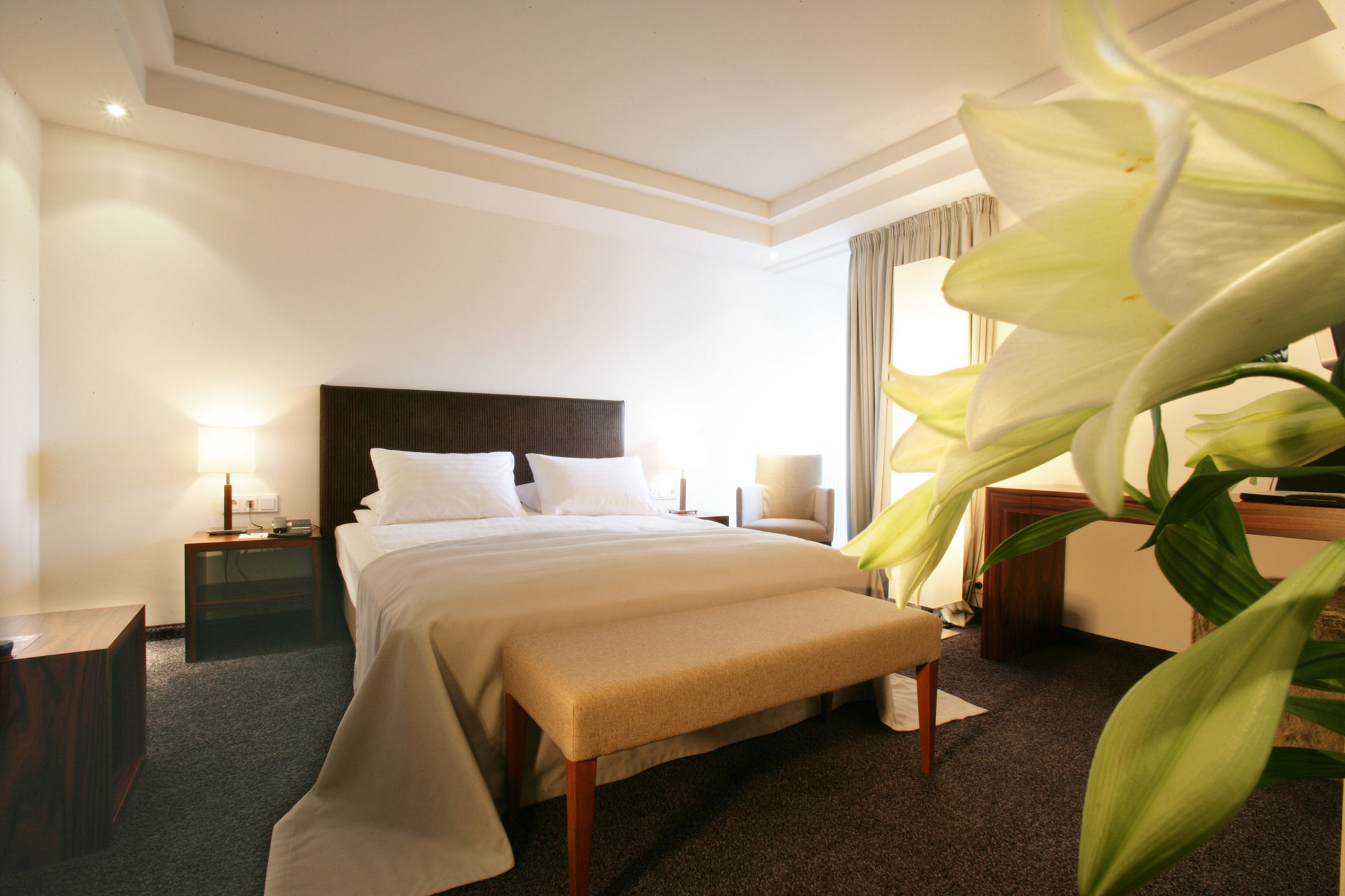 Фото Hotel Erzgiesserei Europe