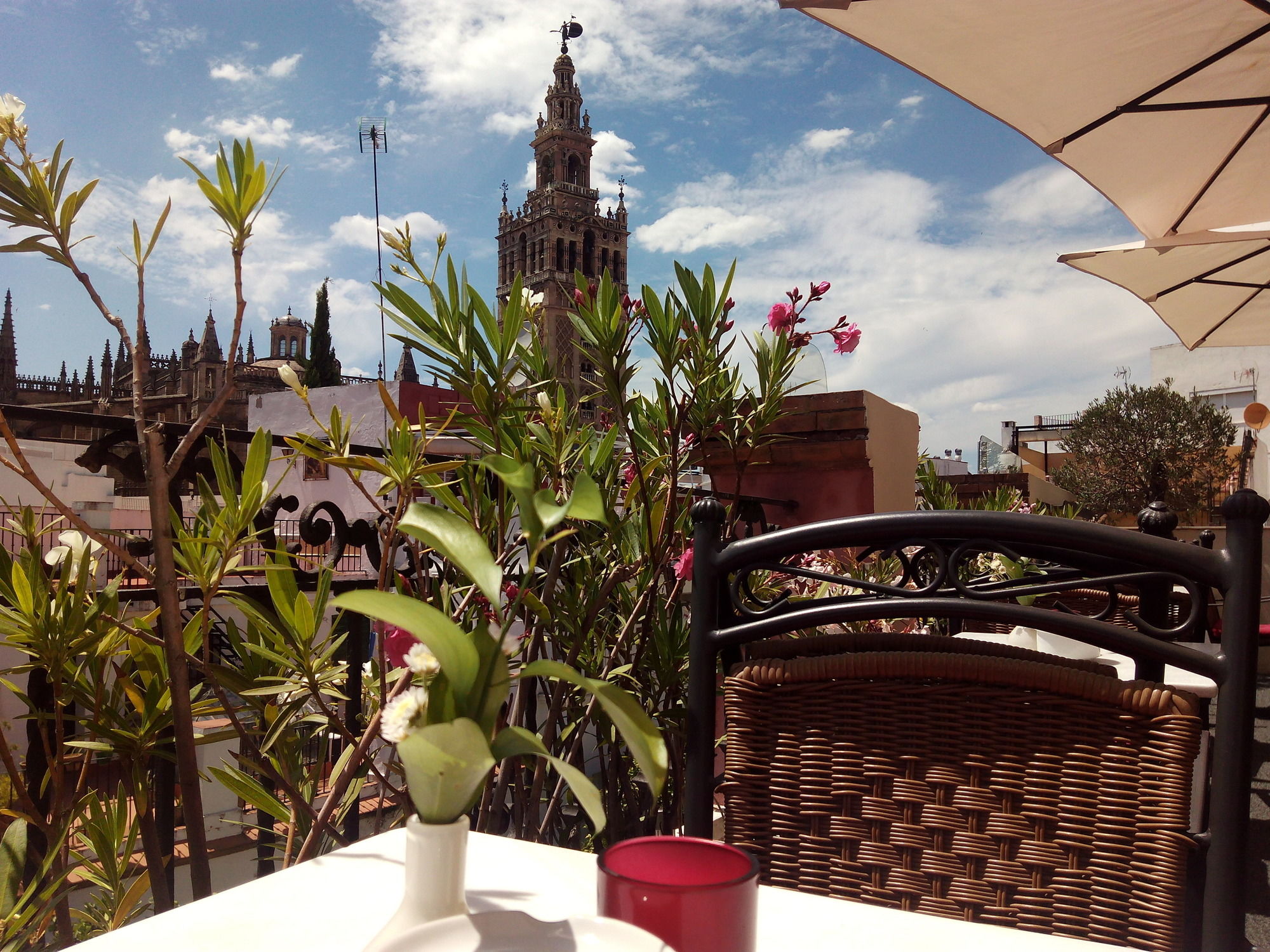 Фото Hotel Palacio Alcazar