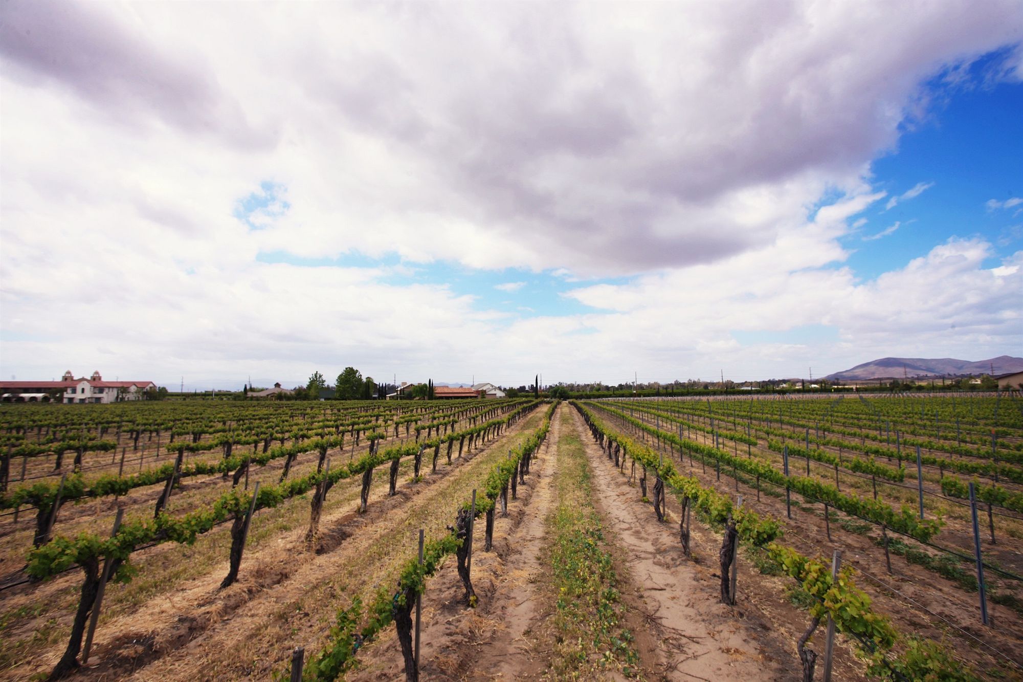 Фото Ponte Vineyard Inn