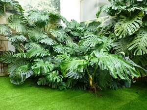 Гостиница Hotel Capitole