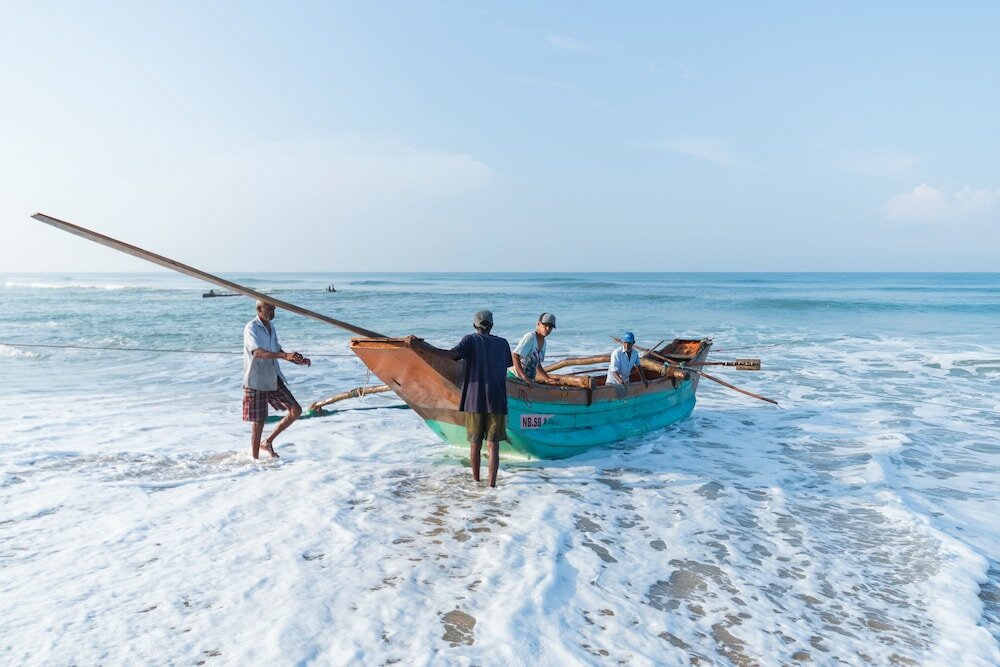 Фото Serene Pavilions