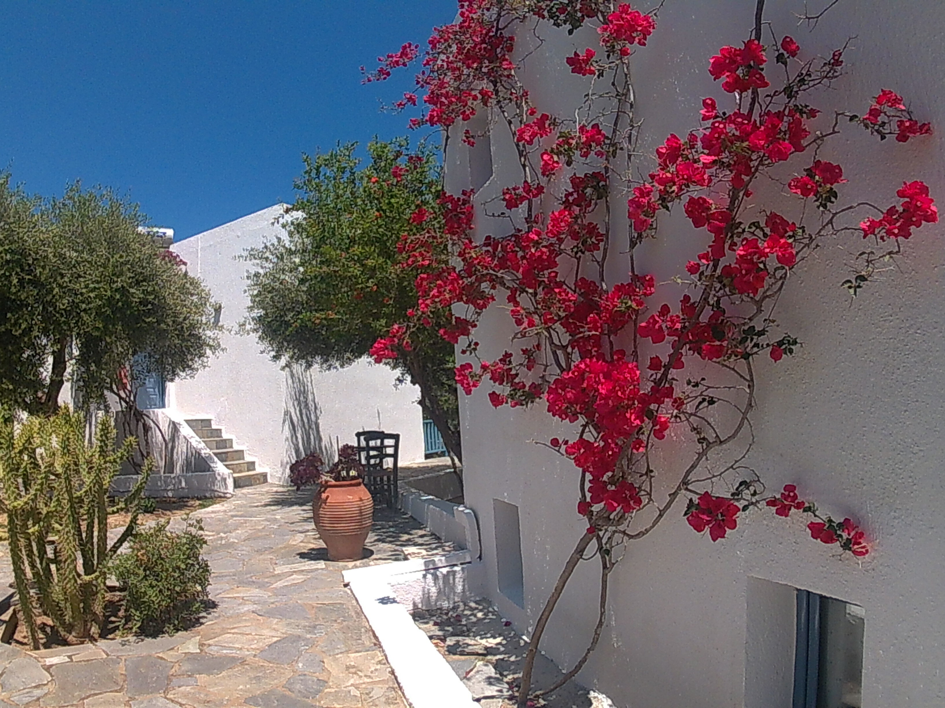 Фото Palatia Village