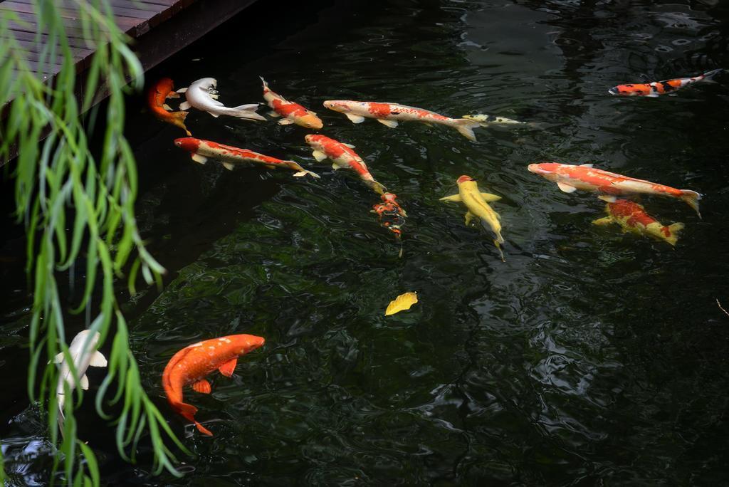 Фото The Park Nine Srinakarin