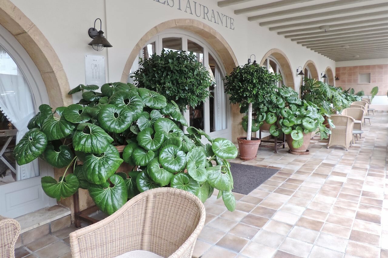 Фото Hotel Los Ángeles