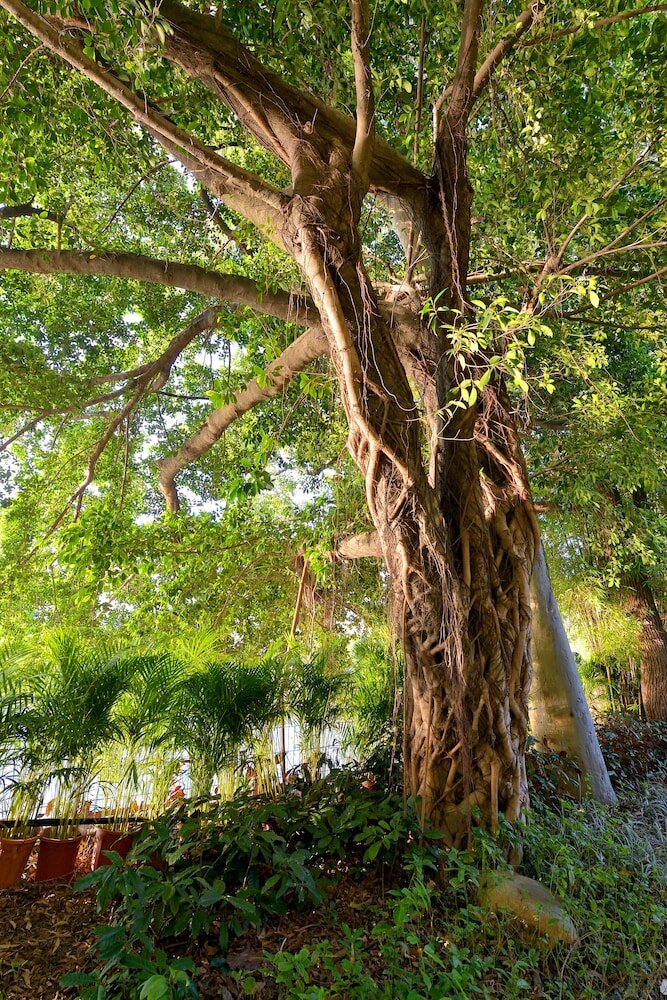 Фото C&d Hotel Fuzhou